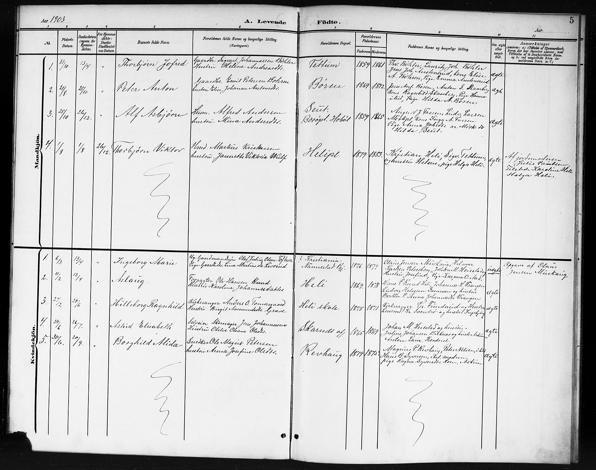 Spydeberg prestekontor Kirkebøker, SAO/A-10924/G/Gc/L0001: Parish register (copy) no. III 1, 1901-1917, p. 5