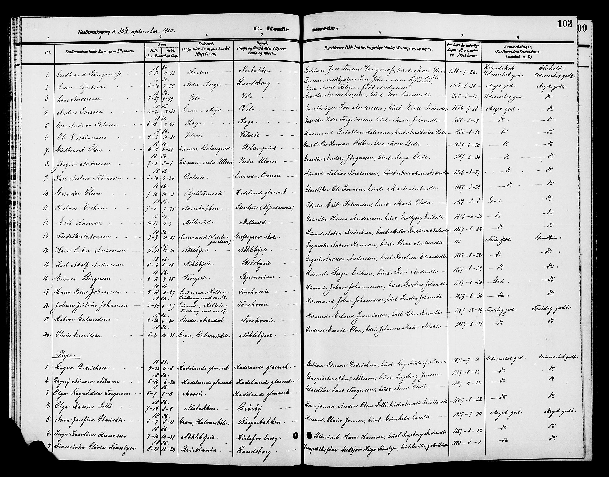 Jevnaker prestekontor, SAH/PREST-116/H/Ha/Hab/L0002: Parish register (copy) no. 2, 1896-1906, p. 103