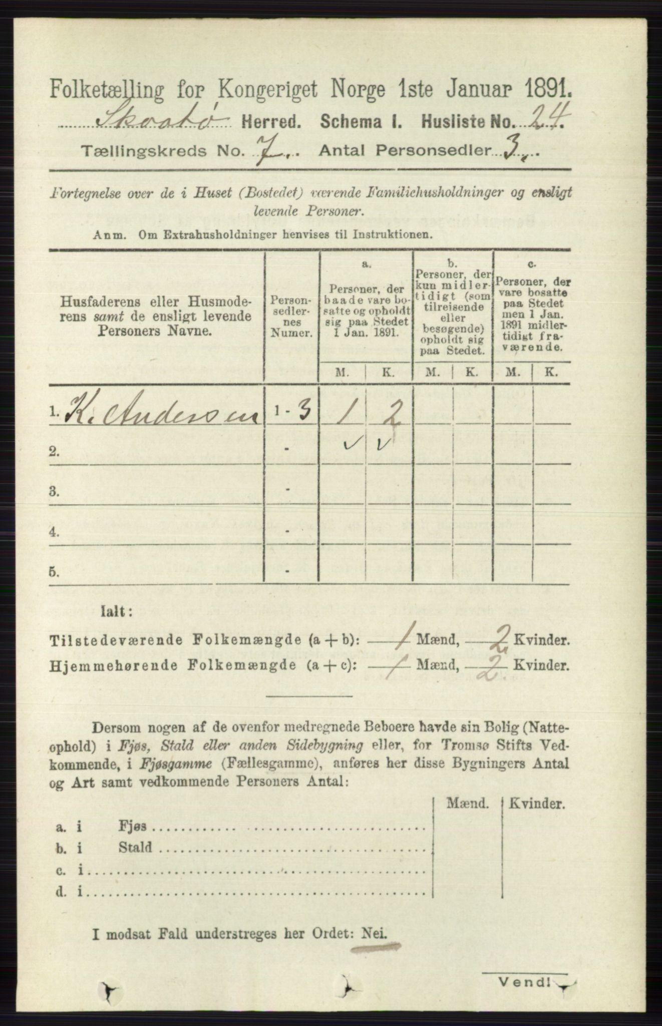 RA, 1891 census for 0815 Skåtøy, 1891, p. 3021