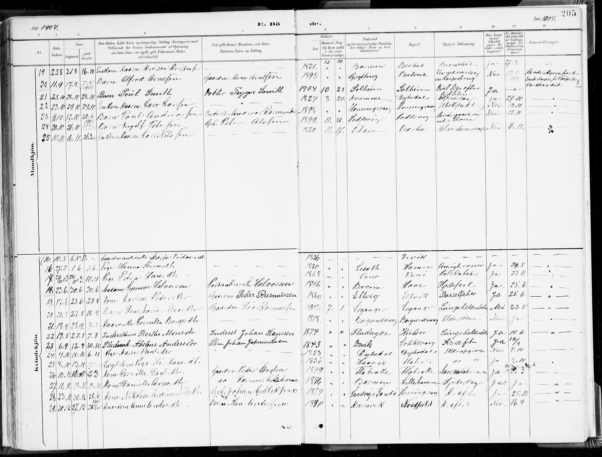 Selje sokneprestembete, SAB/A-99938/H/Ha/Haa/Haab: Parish register (official) no. B 2, 1891-1907, p. 205
