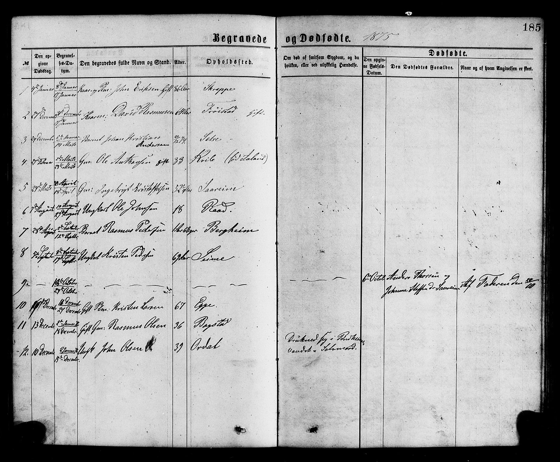 Gloppen sokneprestembete, SAB/A-80101/H/Hab/Habc/L0001: Parish register (copy) no. C 1, 1872-1896, p. 185