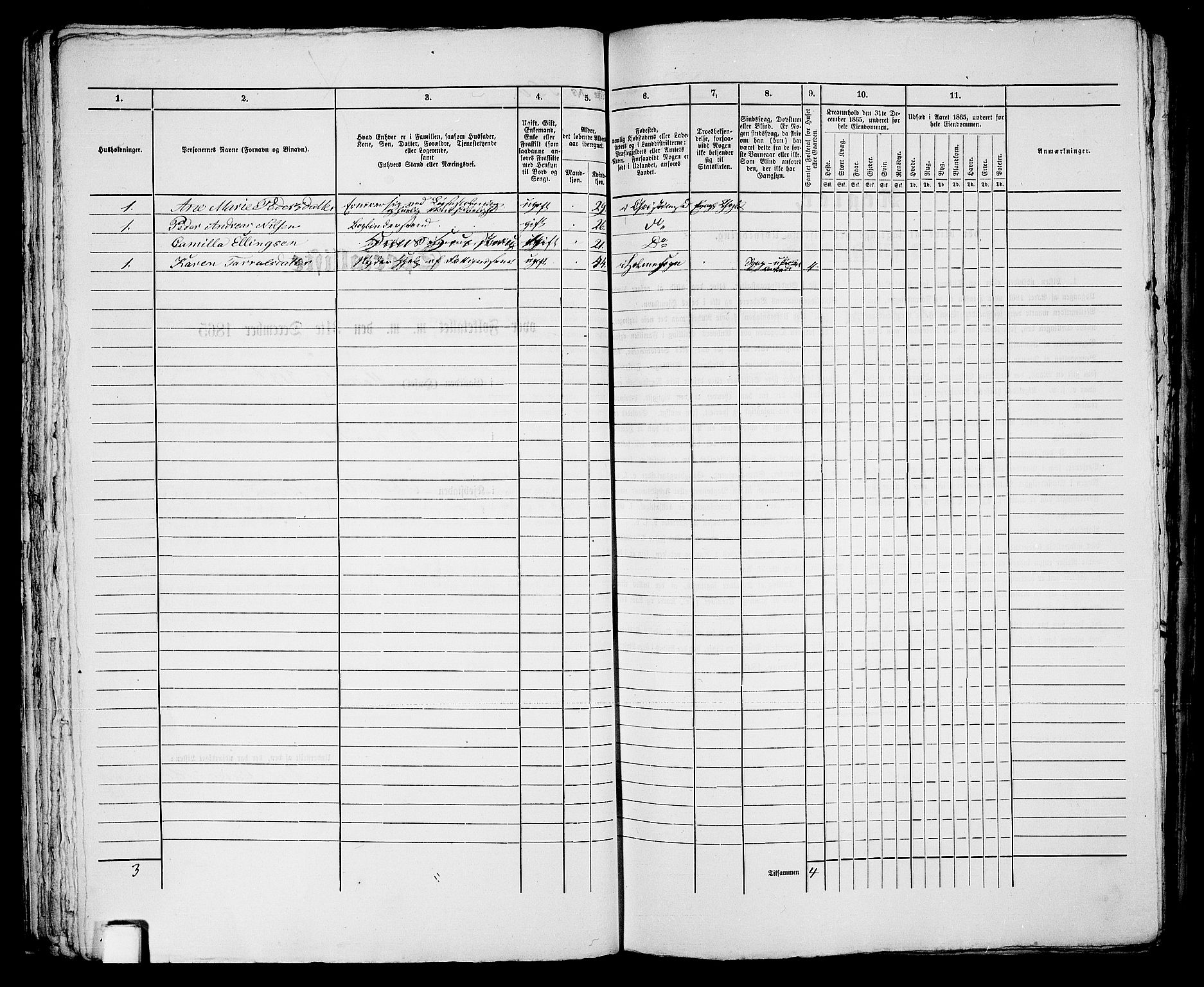 RA, 1865 census for Kristiansand, 1865, p. 1066