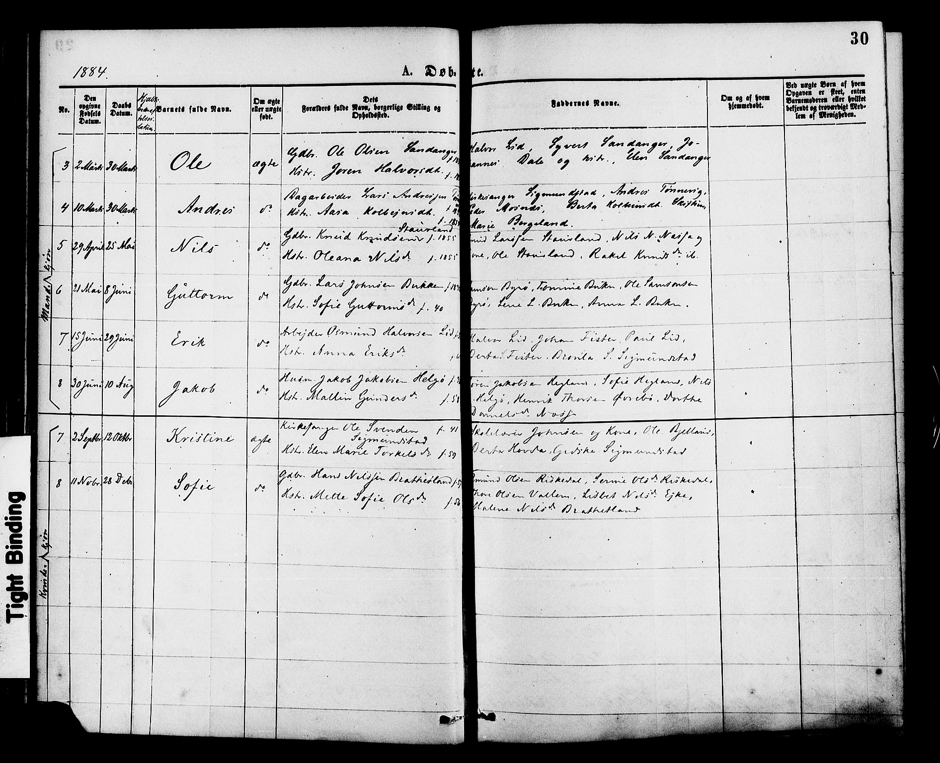 Hjelmeland sokneprestkontor, AV/SAST-A-101843/01/IV/L0013: Parish register (official) no. A 13, 1872-1886, p. 30