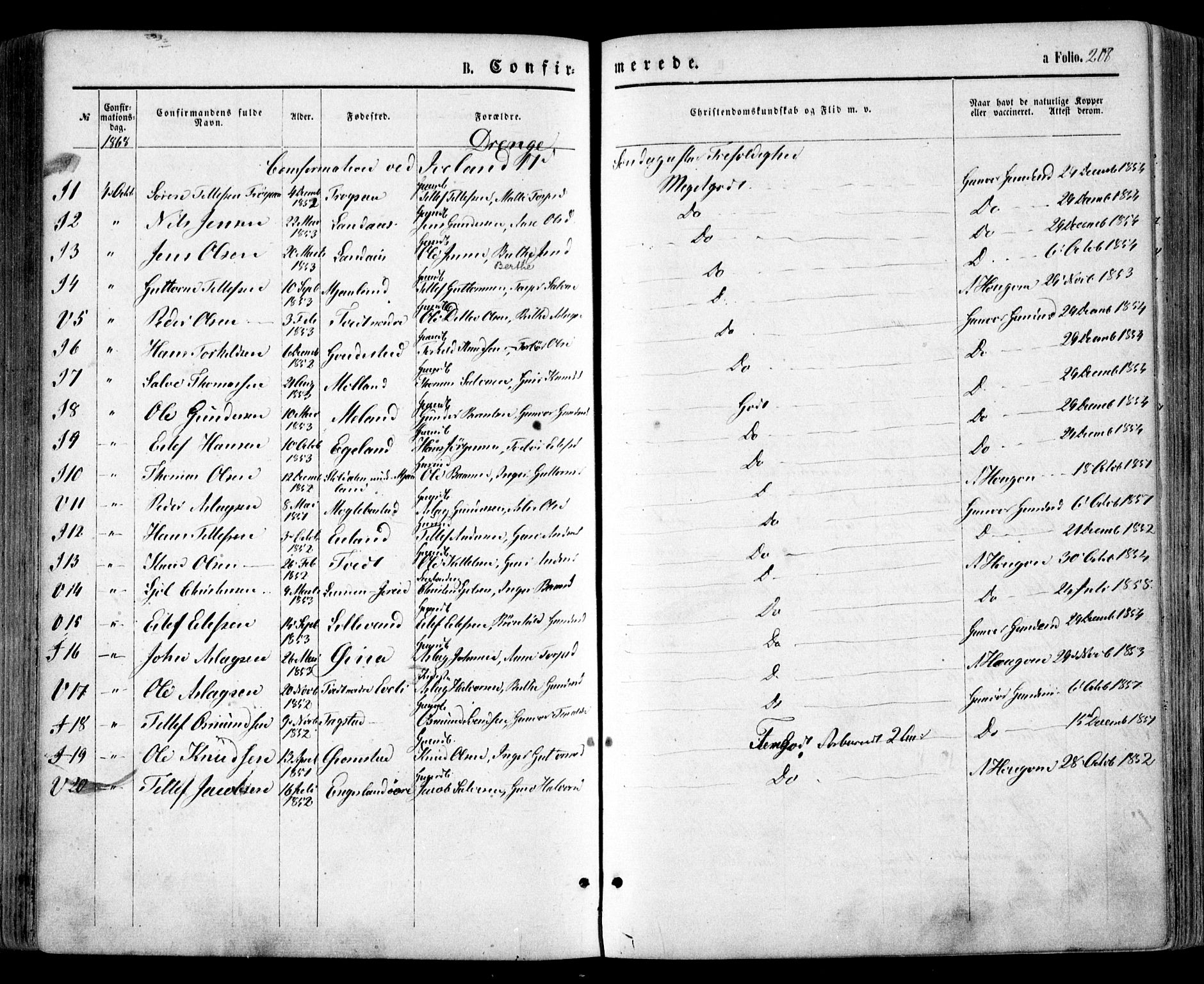 Evje sokneprestkontor, SAK/1111-0008/F/Fa/Faa/L0006: Parish register (official) no. A 6, 1866-1884, p. 208