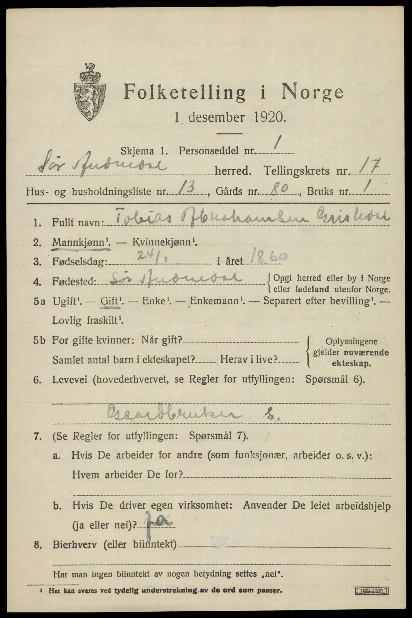 SAK, 1920 census for Sør-Audnedal, 1920, p. 6407