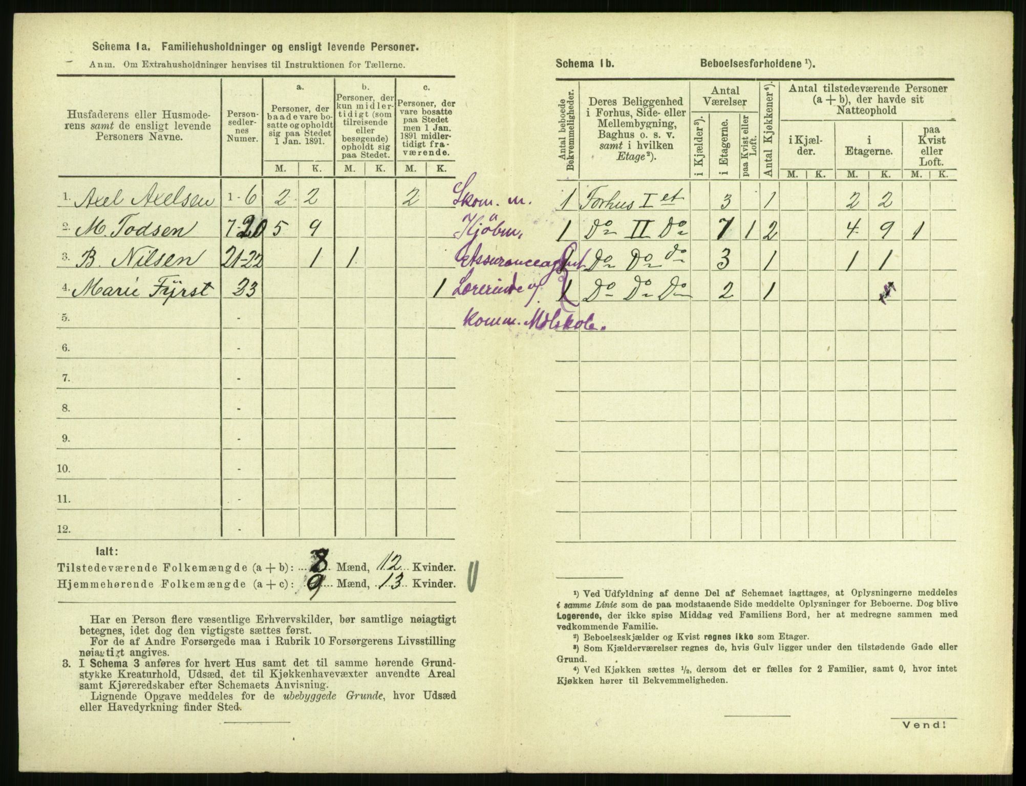 RA, 1891 census for 0707 Larvik, 1891, p. 916