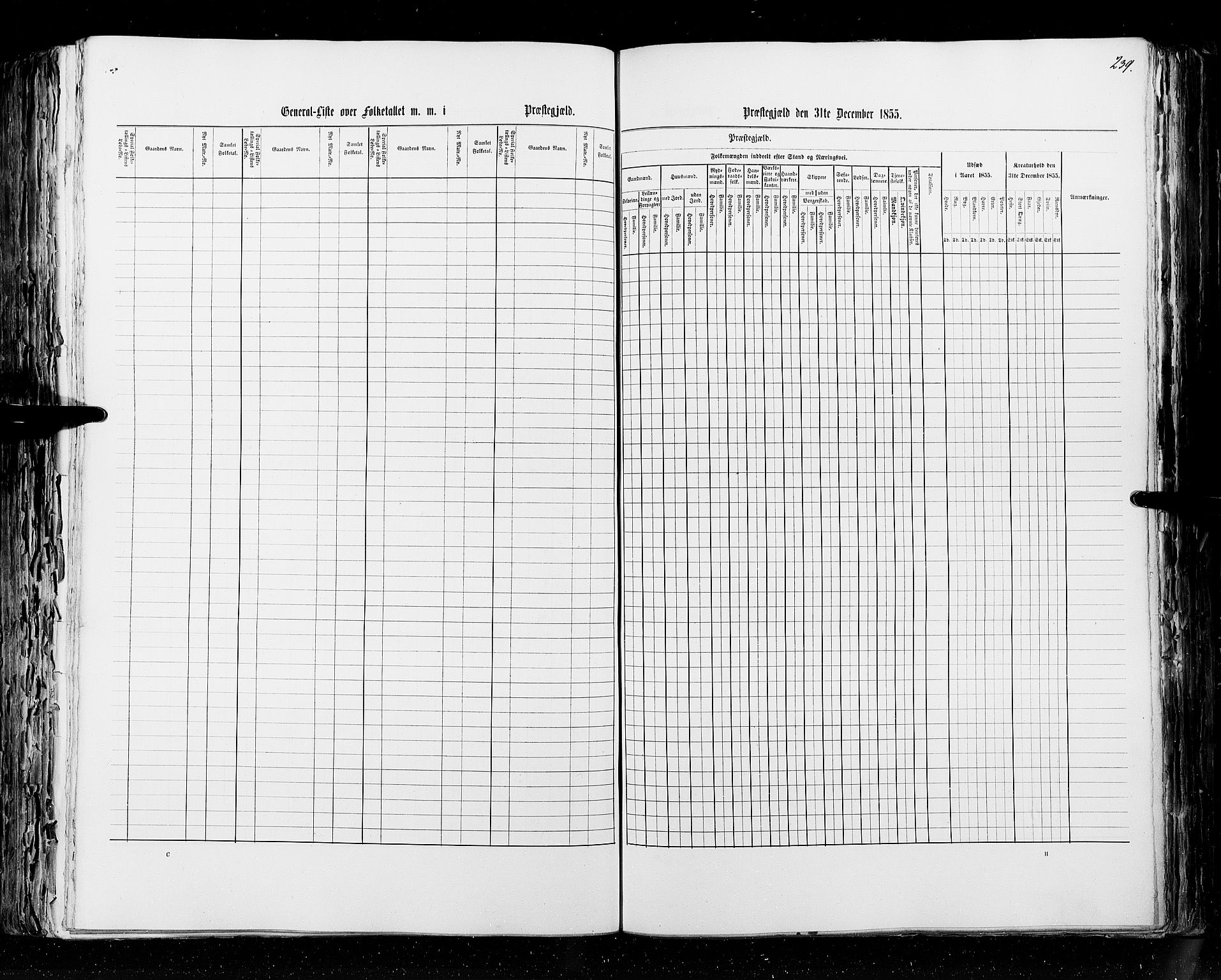 RA, Census 1855, vol. 2: Kristians amt, Buskerud amt og Jarlsberg og Larvik amt, 1855, p. 239