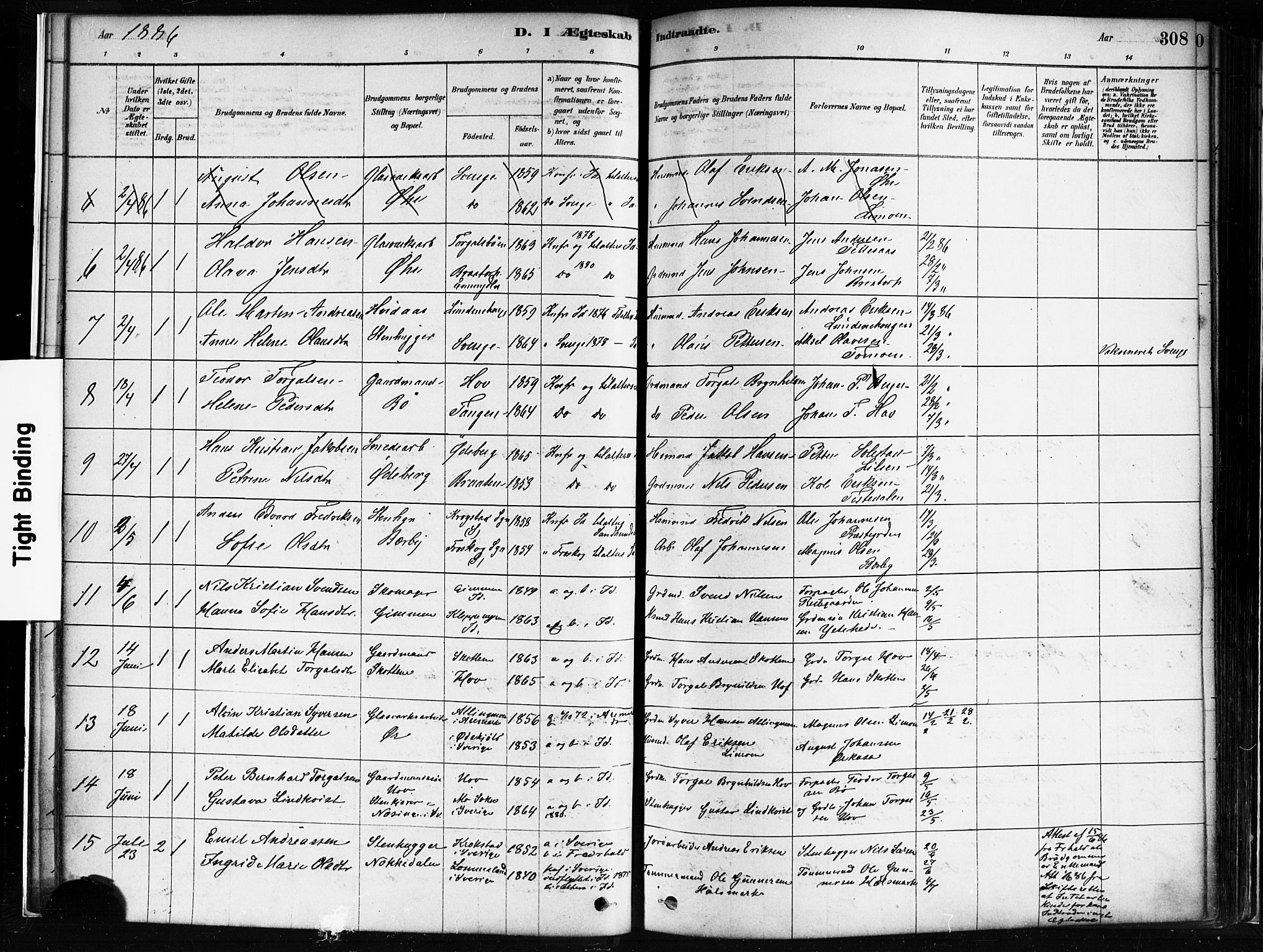 Idd prestekontor Kirkebøker, SAO/A-10911/F/Fc/L0006b: Parish register (official) no. III 6B, 1878-1903, p. 308