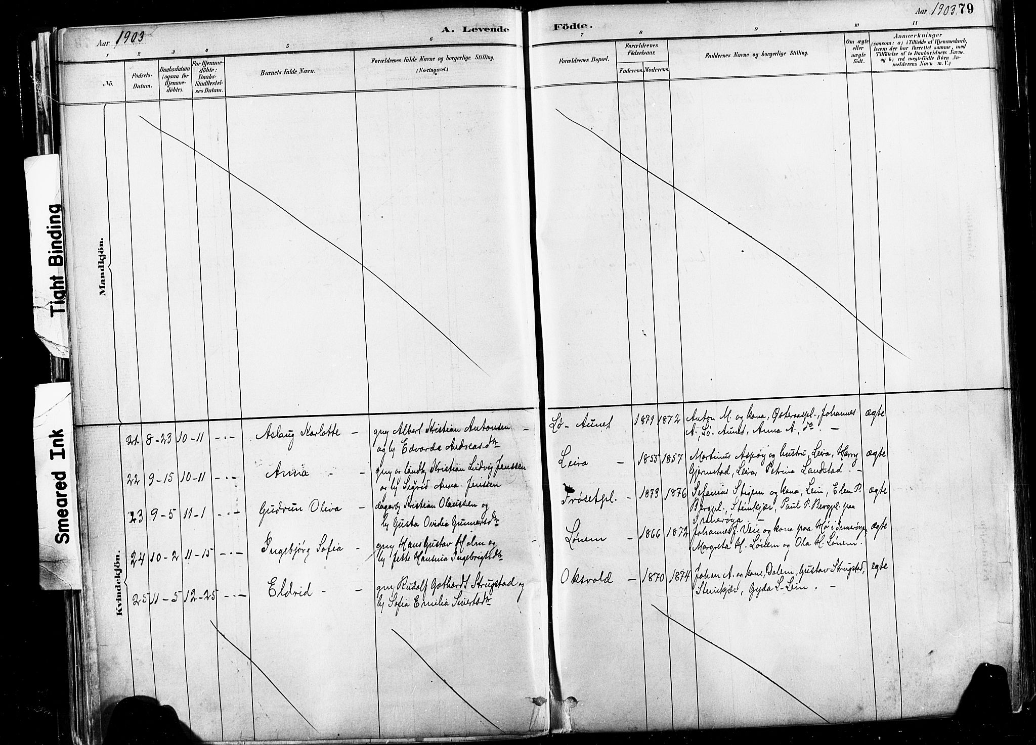 Ministerialprotokoller, klokkerbøker og fødselsregistre - Nord-Trøndelag, AV/SAT-A-1458/735/L0351: Parish register (official) no. 735A10, 1884-1908, p. 79