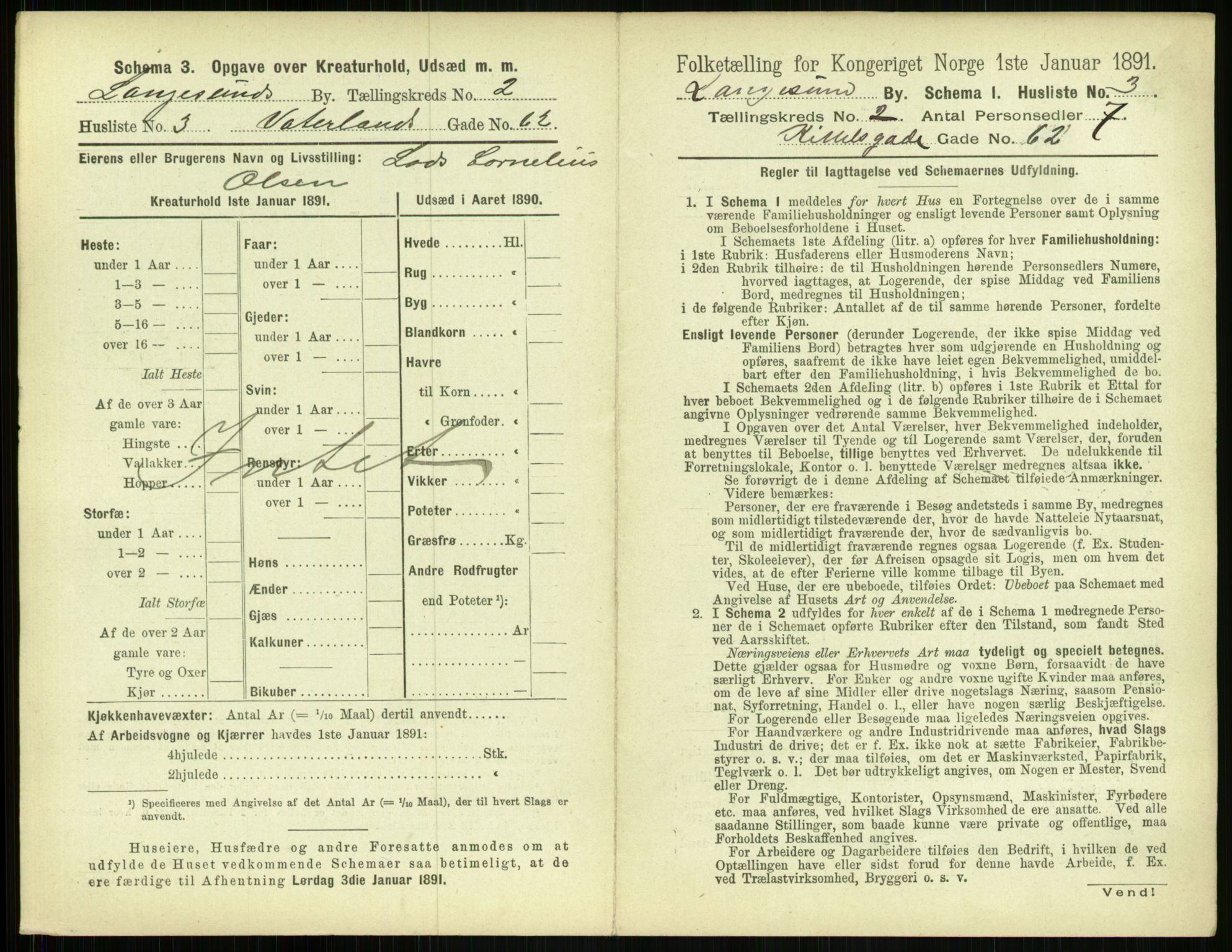 RA, 1891 census for 0802 Langesund, 1891, p. 116