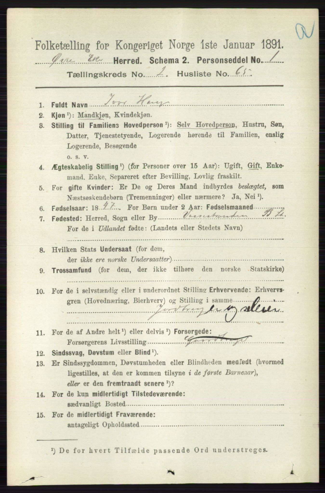 RA, 1891 census for 0624 Øvre Eiker, 1891, p. 910