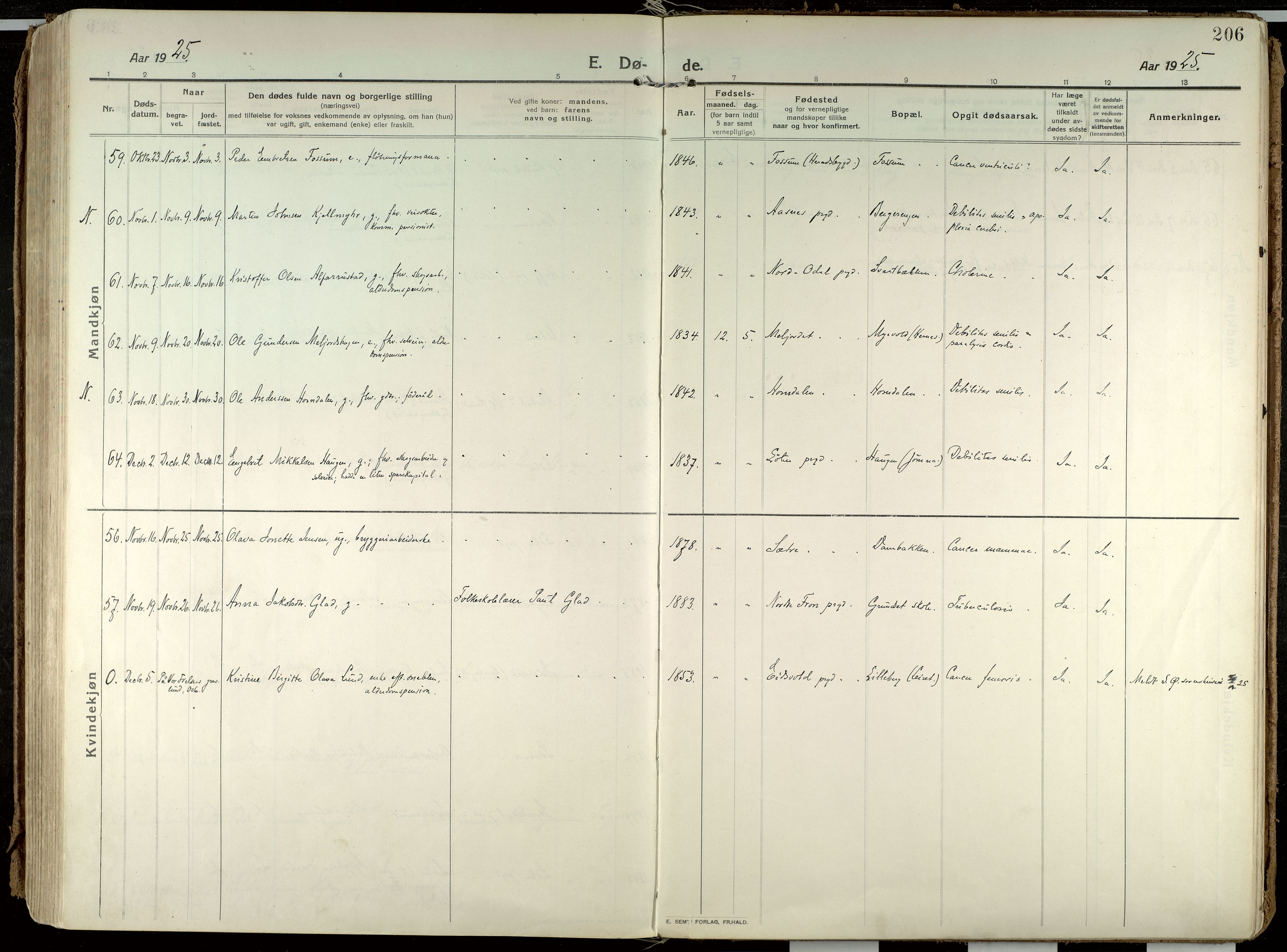 Elverum prestekontor, AV/SAH-PREST-044/H/Ha/Haa/L0021: Parish register (official) no. 21, 1913-1928, p. 206