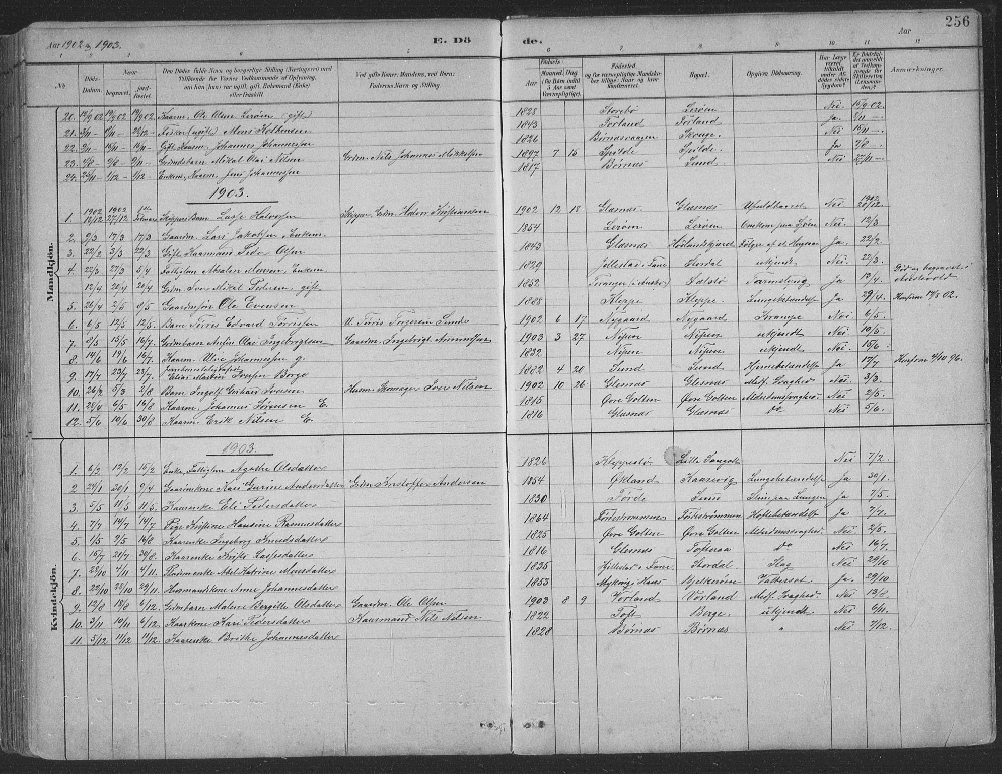 Sund sokneprestembete, SAB/A-99930: Parish register (copy) no. B 3, 1882-1911, p. 256