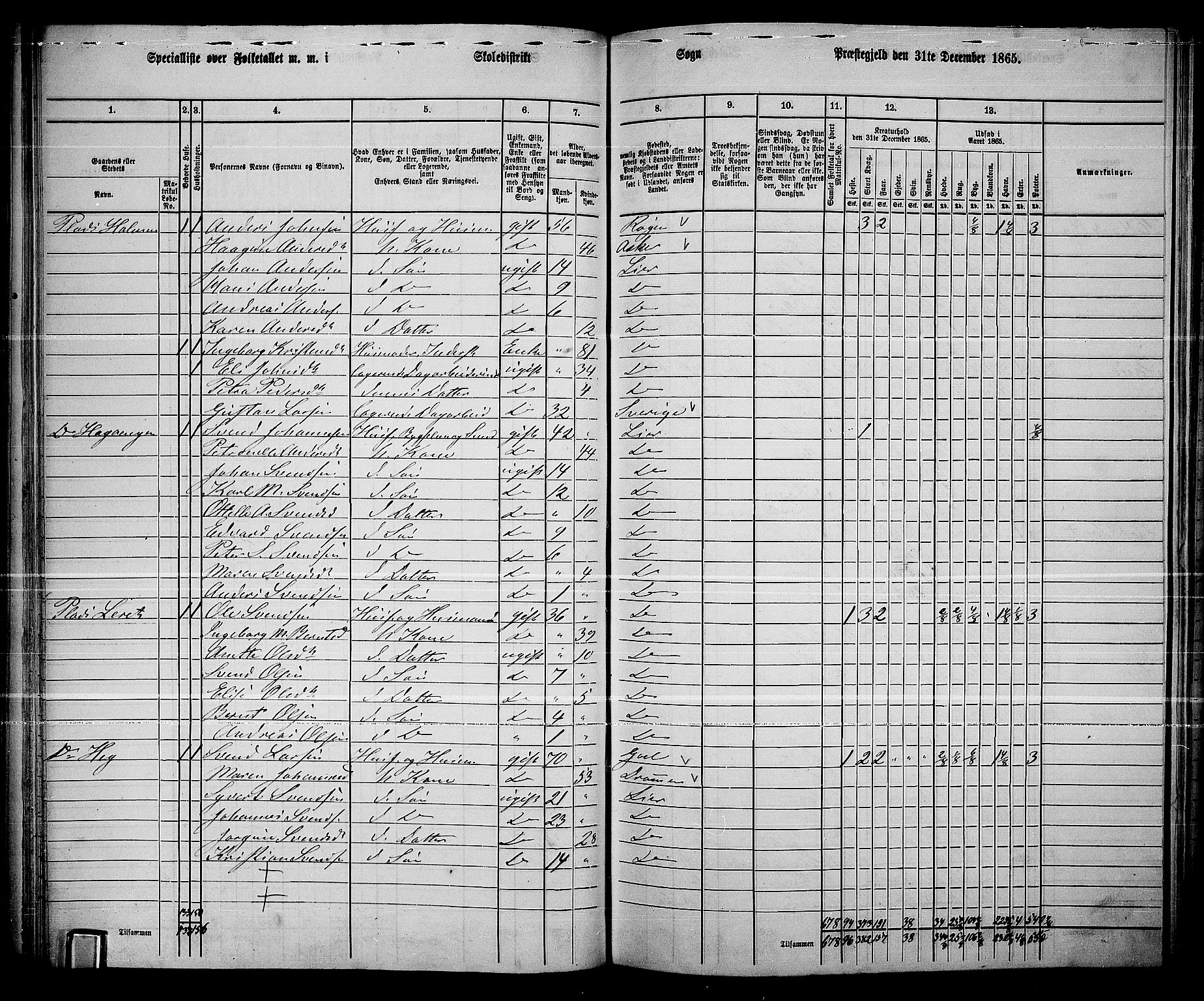 RA, 1865 census for Lier, 1865, p. 65