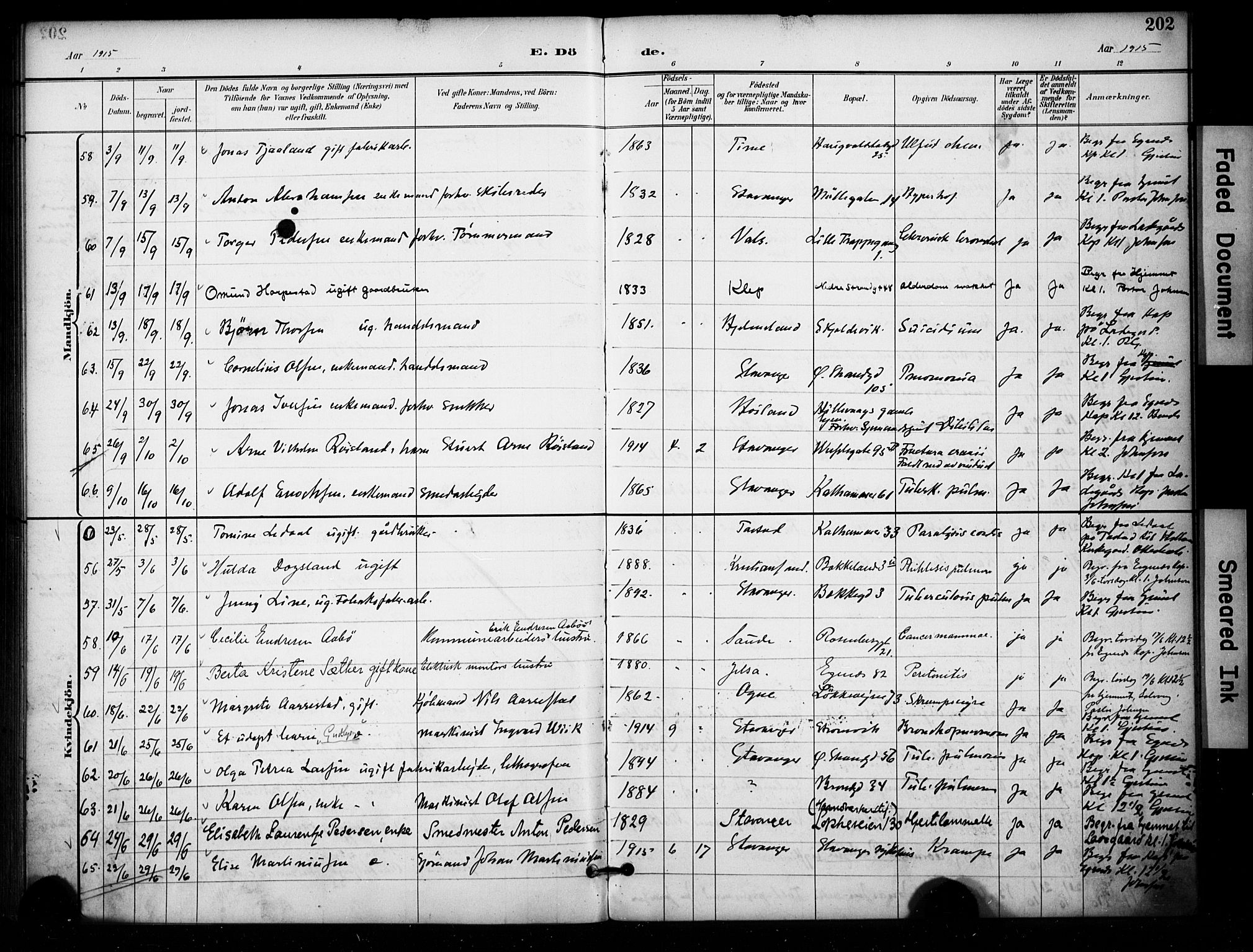 Domkirken sokneprestkontor, SAST/A-101812/001/30/30BA/L0032: Parish register (official) no. A 31, 1896-1917, p. 202