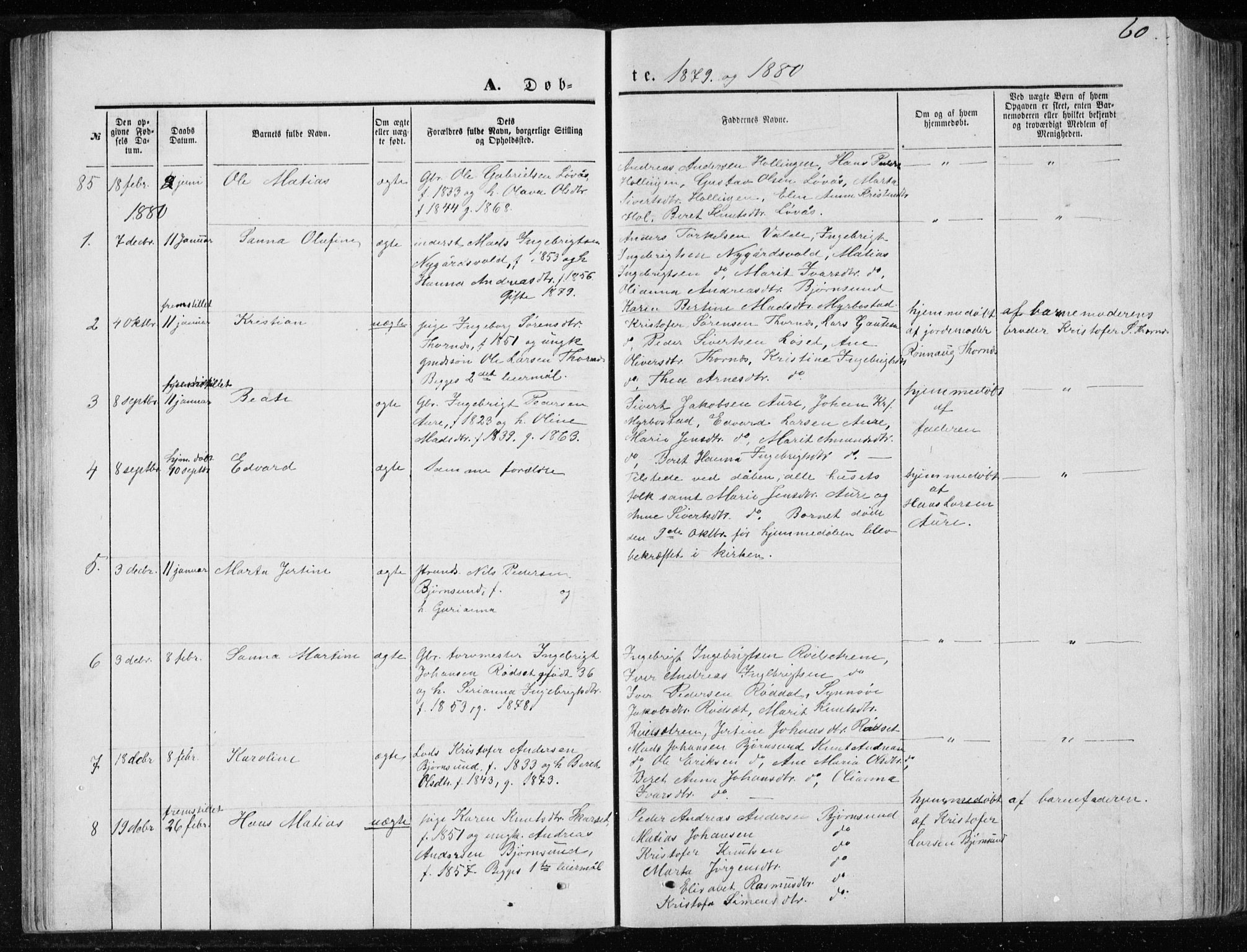 Ministerialprotokoller, klokkerbøker og fødselsregistre - Møre og Romsdal, SAT/A-1454/565/L0754: Parish register (copy) no. 565C03, 1870-1896, p. 60