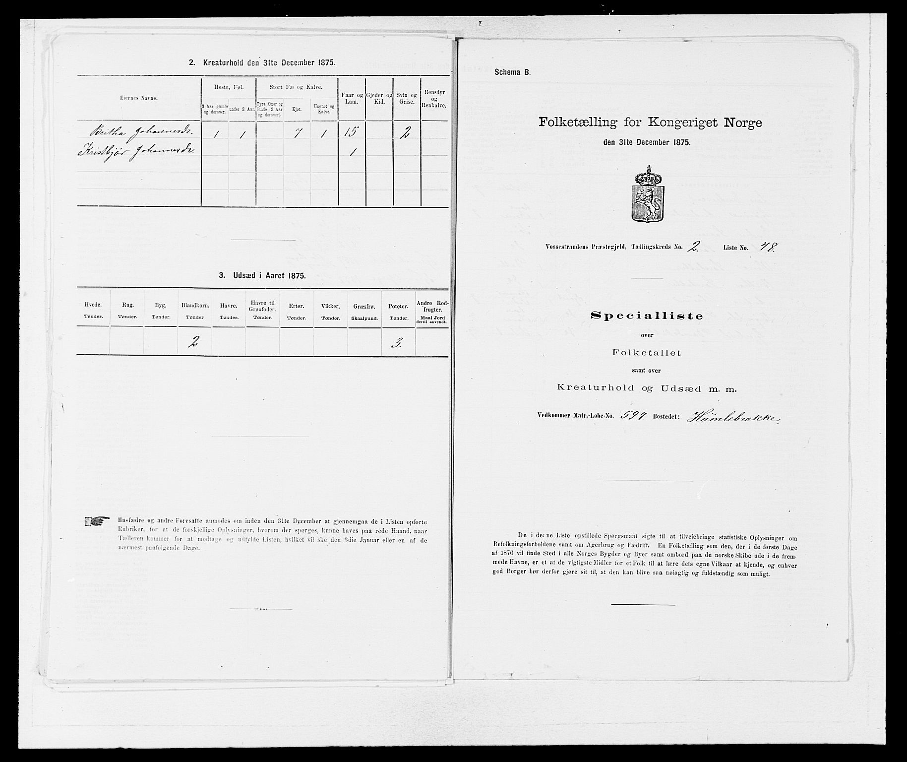 SAB, 1875 census for 1236P Vossestrand, 1875, p. 195