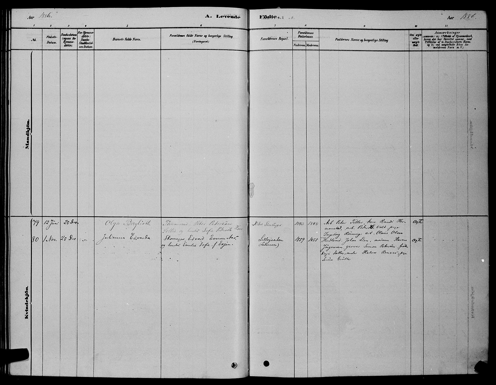 Ministerialprotokoller, klokkerbøker og fødselsregistre - Sør-Trøndelag, AV/SAT-A-1456/606/L0312: Parish register (copy) no. 606C08, 1878-1894