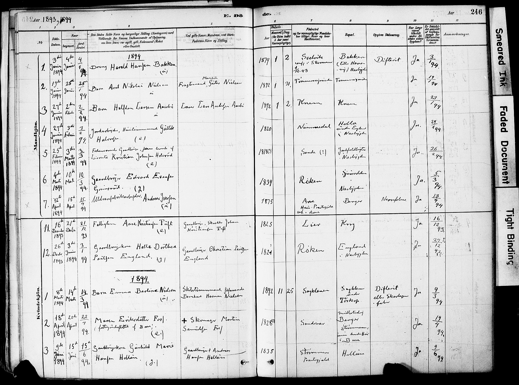 Strømm kirkebøker, AV/SAKO-A-322/F/Fa/L0004: Parish register (official) no. I 4, 1878-1899, p. 246