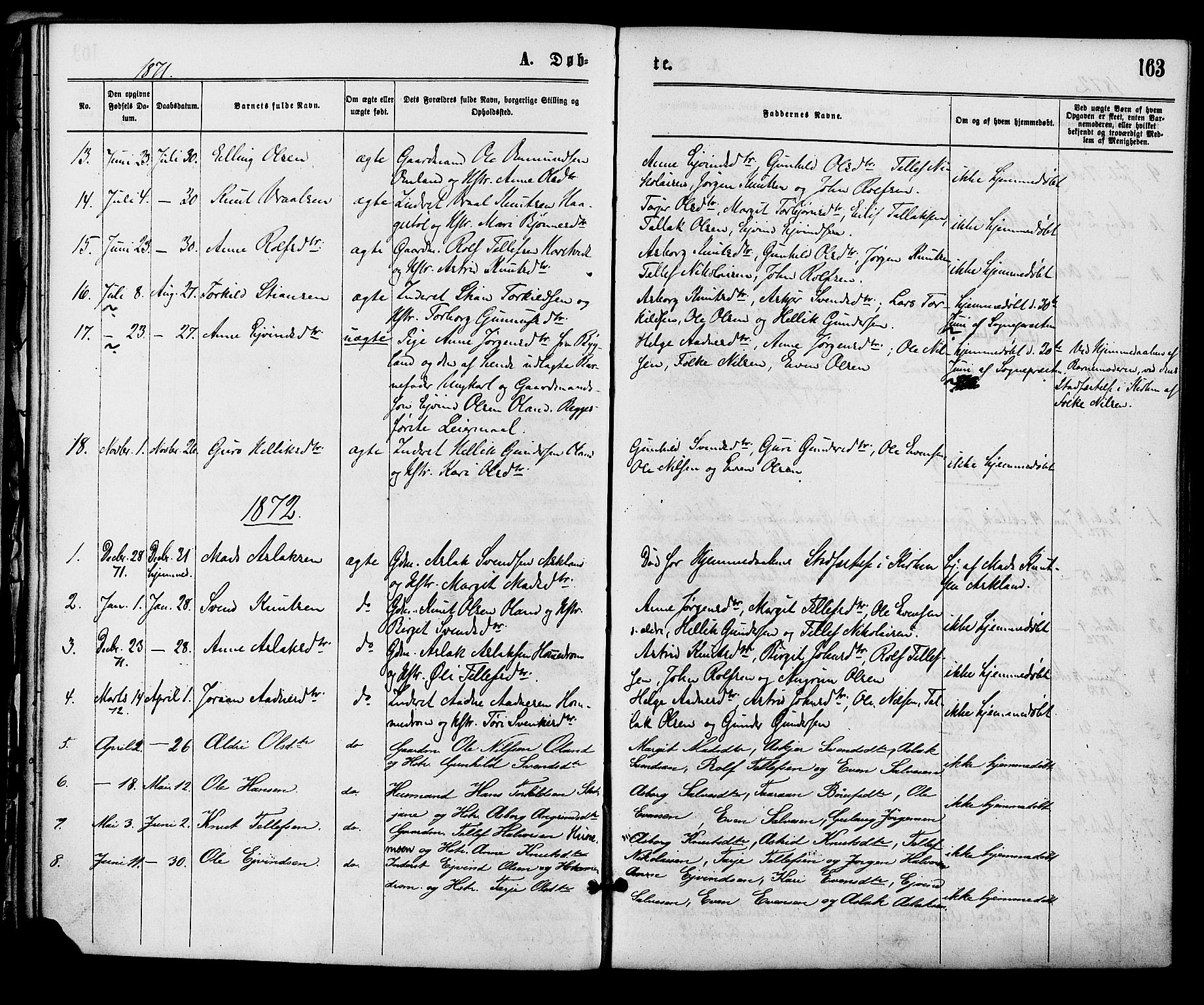 Åmli sokneprestkontor, AV/SAK-1111-0050/F/Fa/Fac/L0009: Parish register (official) no. A 9 /2, 1869-1884, p. 163