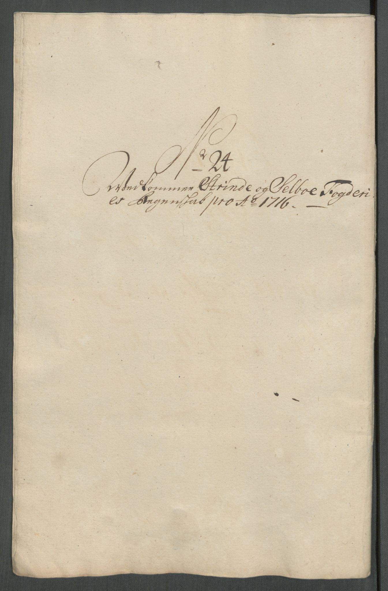 Rentekammeret inntil 1814, Reviderte regnskaper, Fogderegnskap, AV/RA-EA-4092/R61/L4115: Fogderegnskap Strinda og Selbu, 1715-1716, p. 439