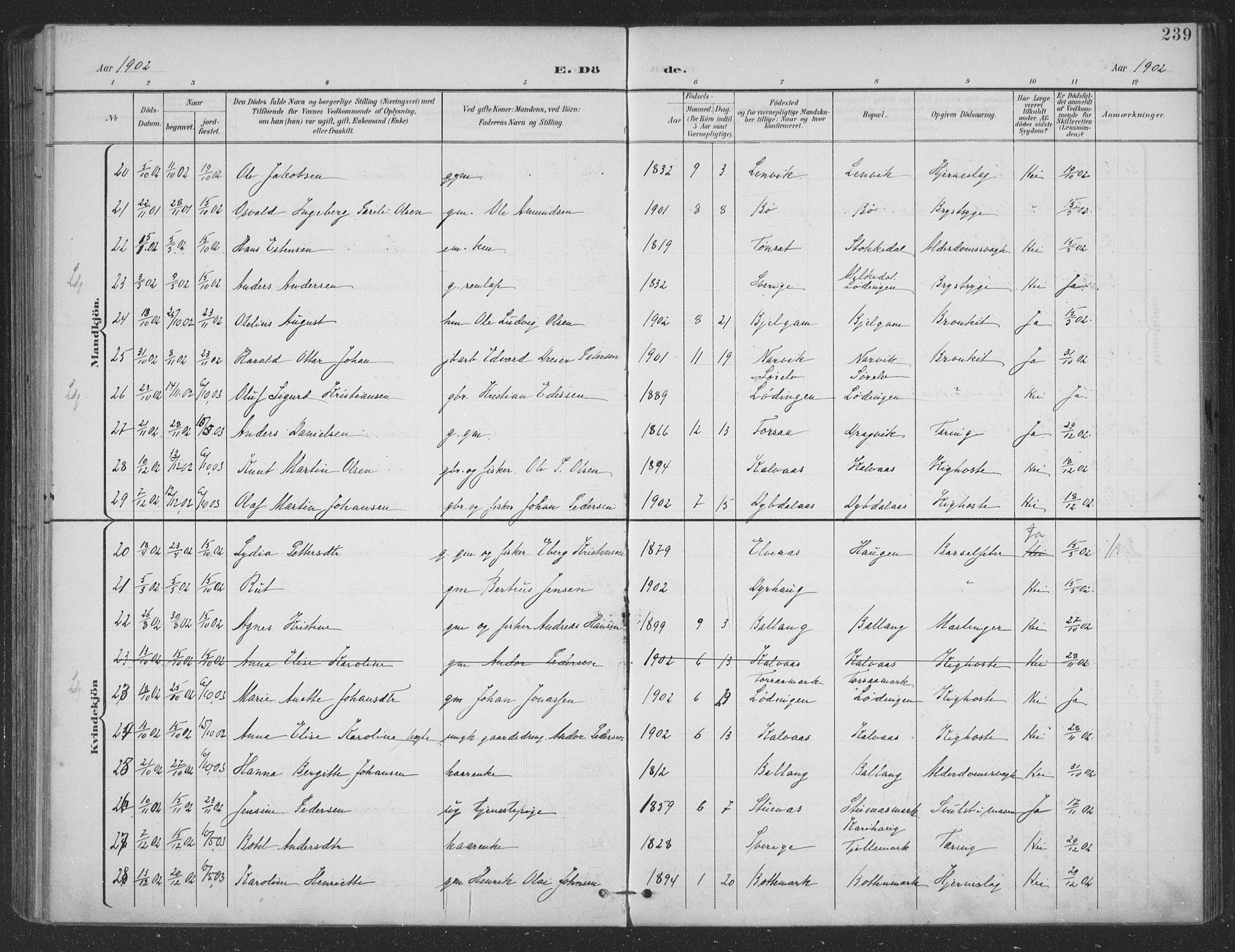 Ministerialprotokoller, klokkerbøker og fødselsregistre - Nordland, SAT/A-1459/863/L0899: Parish register (official) no. 863A11, 1897-1906, p. 239