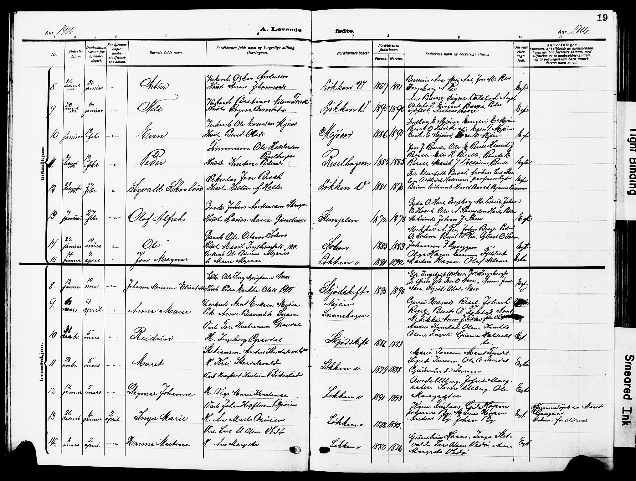 Ministerialprotokoller, klokkerbøker og fødselsregistre - Sør-Trøndelag, SAT/A-1456/672/L0865: Parish register (copy) no. 672C04, 1914-1928, p. 19