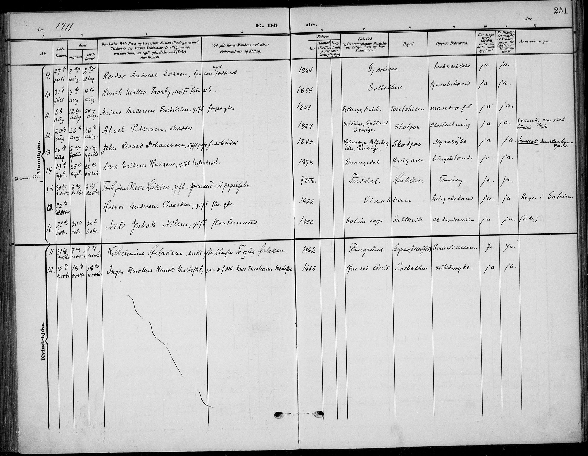 Solum kirkebøker, SAKO/A-306/F/Fb/L0003: Parish register (official) no. II 3, 1901-1912, p. 251