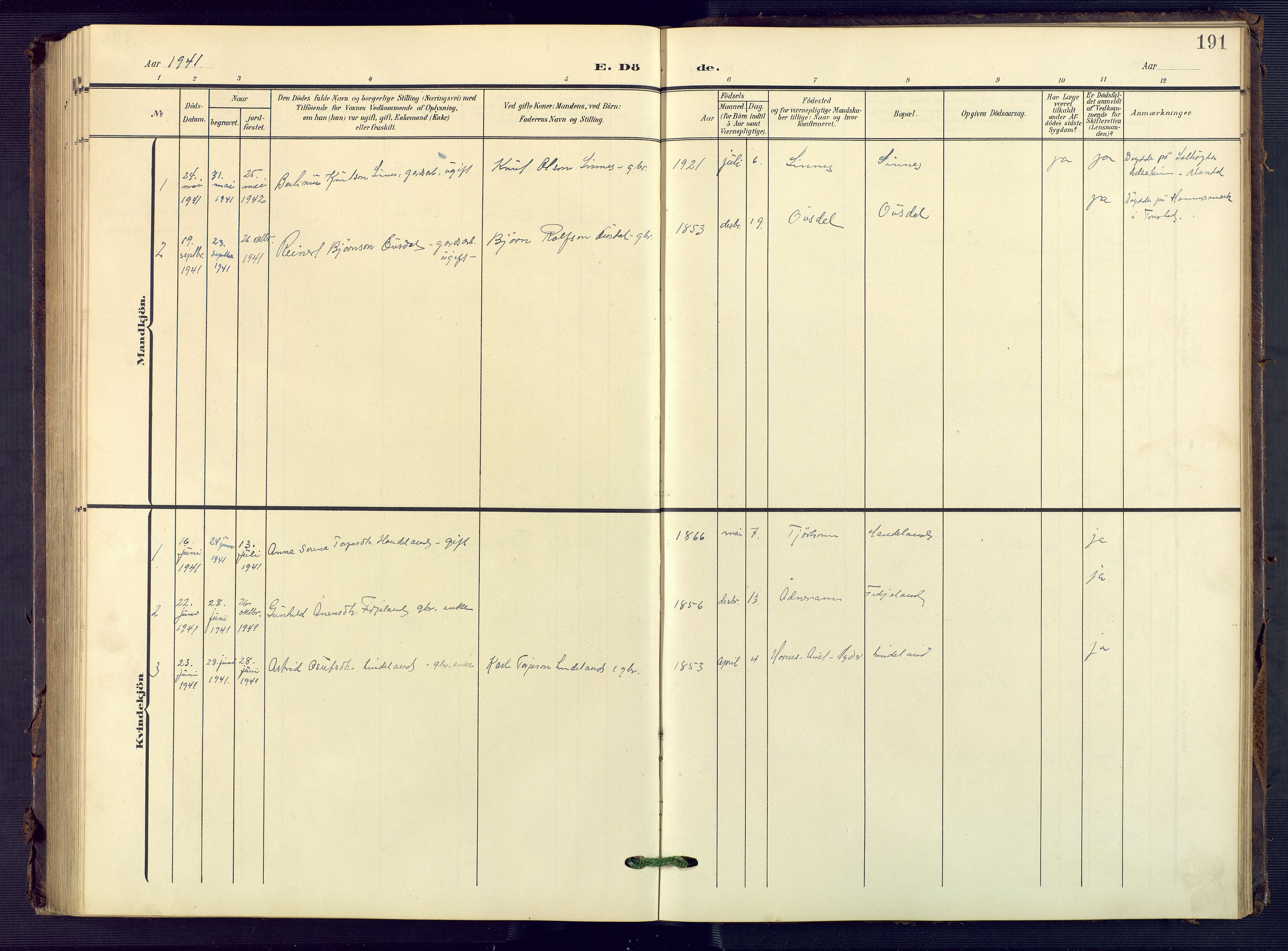 Sirdal sokneprestkontor, SAK/1111-0036/F/Fb/Fba/L0002: Parish register (copy) no. B 2, 1905-1958, p. 191
