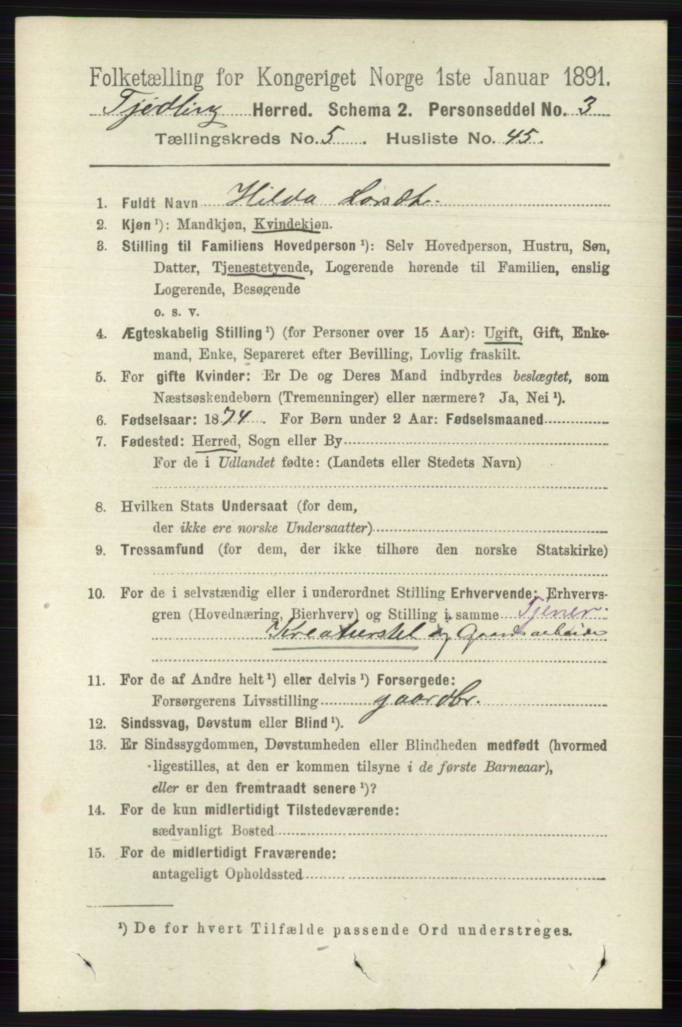 RA, 1891 census for 0725 Tjølling, 1891, p. 2266