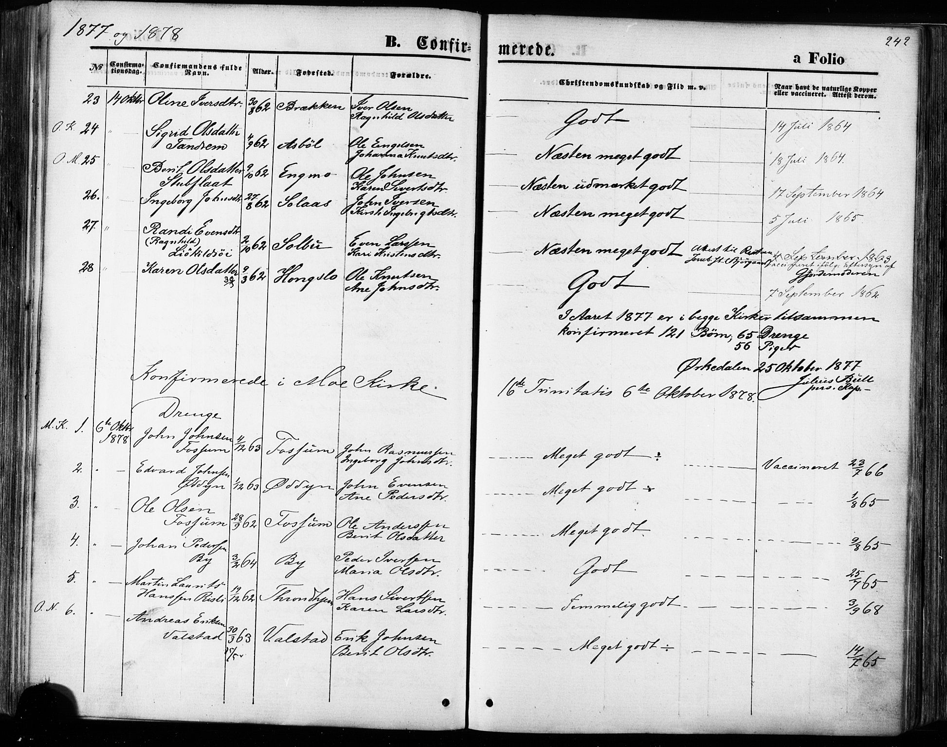 Ministerialprotokoller, klokkerbøker og fødselsregistre - Sør-Trøndelag, SAT/A-1456/668/L0807: Parish register (official) no. 668A07, 1870-1880, p. 242