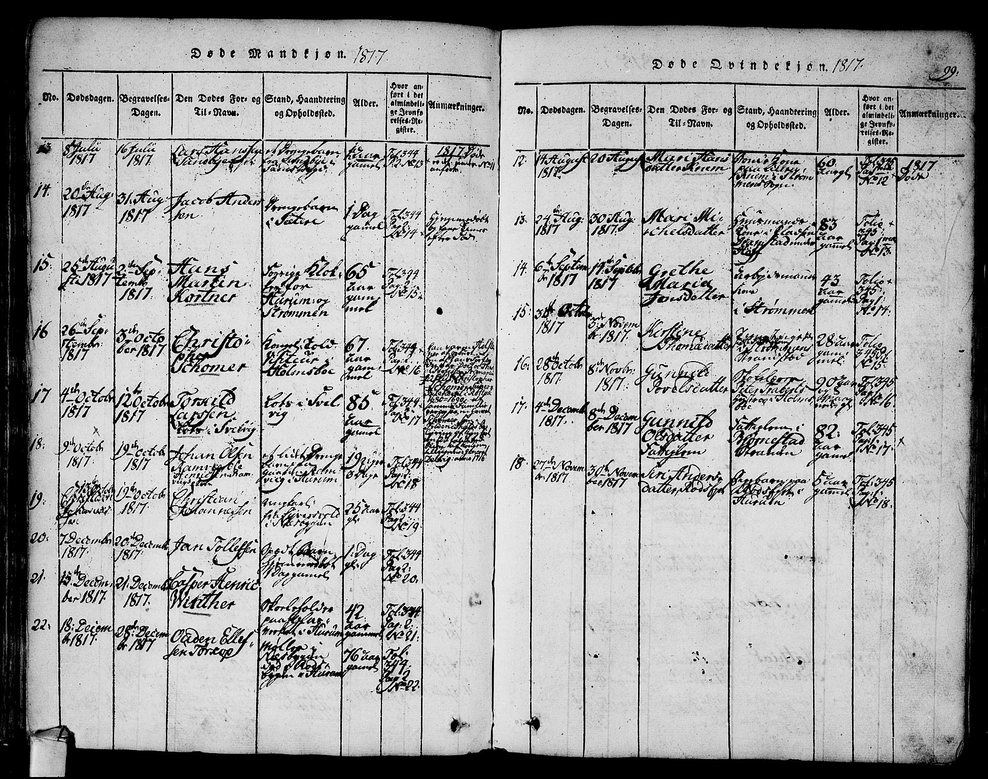 Hurum kirkebøker, AV/SAKO-A-229/F/Fa/L0009: Parish register (official) no. 9, 1816-1826, p. 99