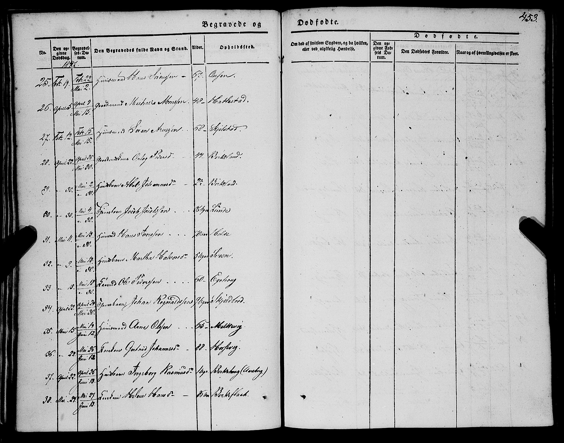 Gaular sokneprestembete, SAB/A-80001/H/Haa: Parish register (official) no. A 4II, 1841-1859, p. 453