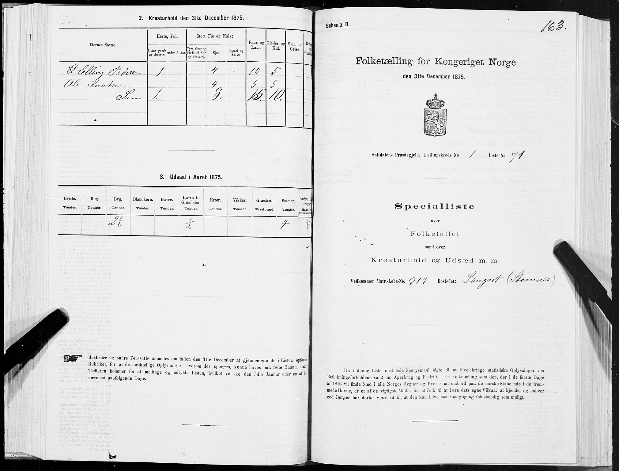 SAT, 1875 census for 1840P Saltdal, 1875, p. 1163