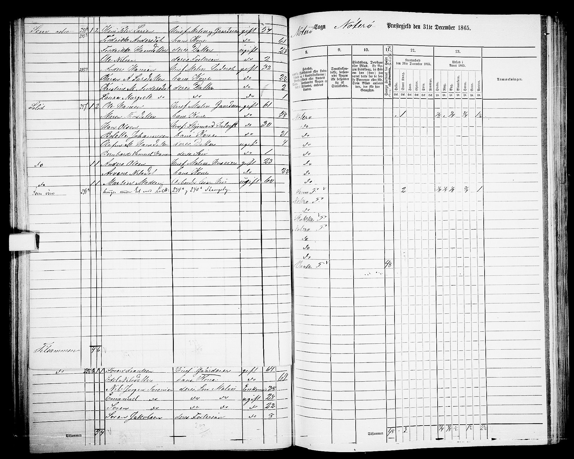 RA, 1865 census for Nøtterøy, 1865, p. 90