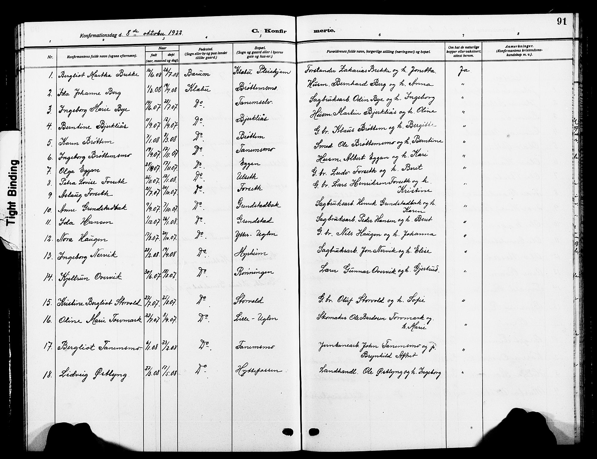Ministerialprotokoller, klokkerbøker og fødselsregistre - Sør-Trøndelag, SAT/A-1456/618/L0453: Parish register (copy) no. 618C04, 1907-1925, p. 91