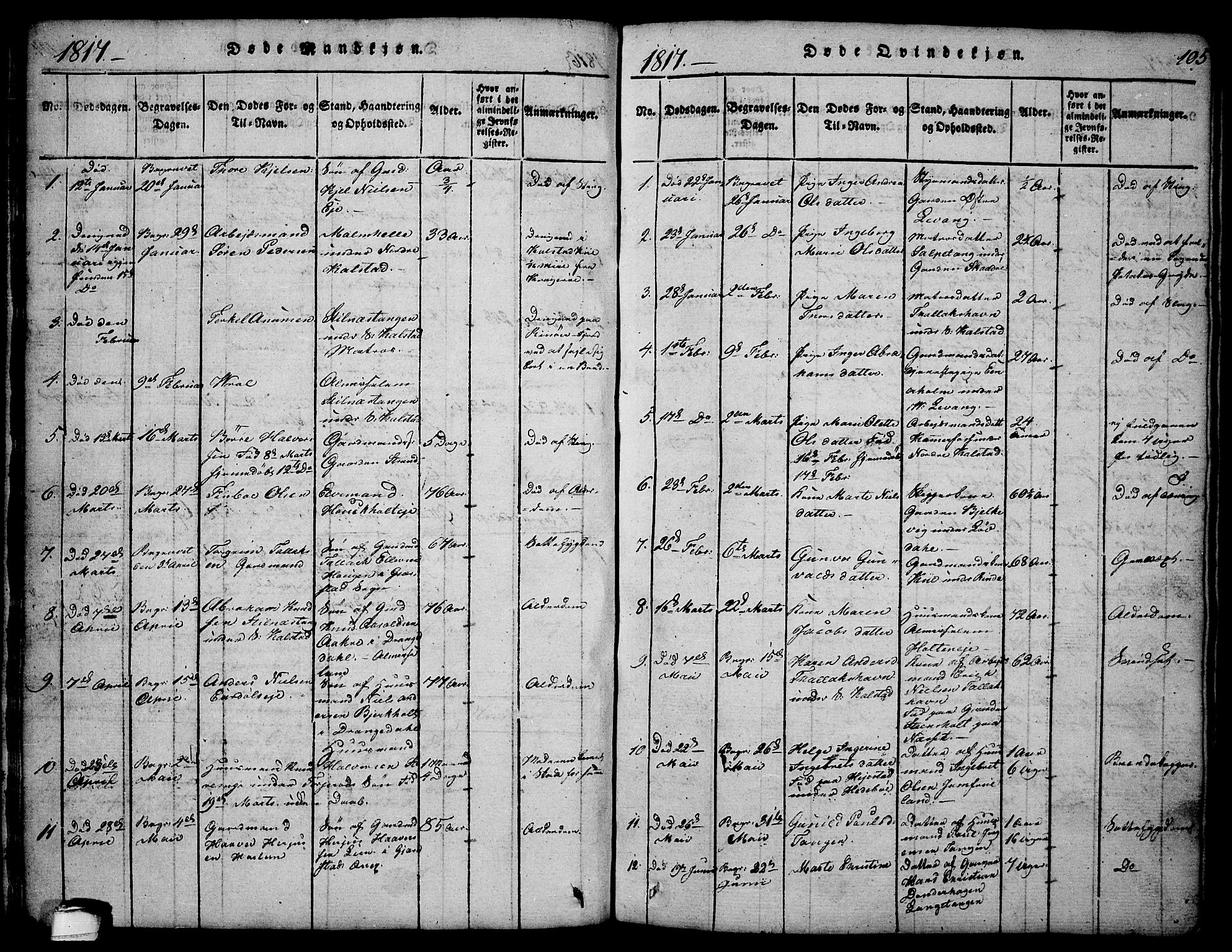 Sannidal kirkebøker, SAKO/A-296/F/Fa/L0004: Parish register (official) no. 4, 1814-1829, p. 105