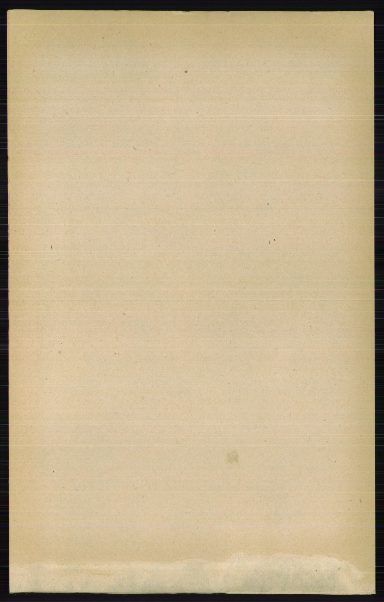 RA, 1891 census for 0411 Nes, 1891, p. 3265