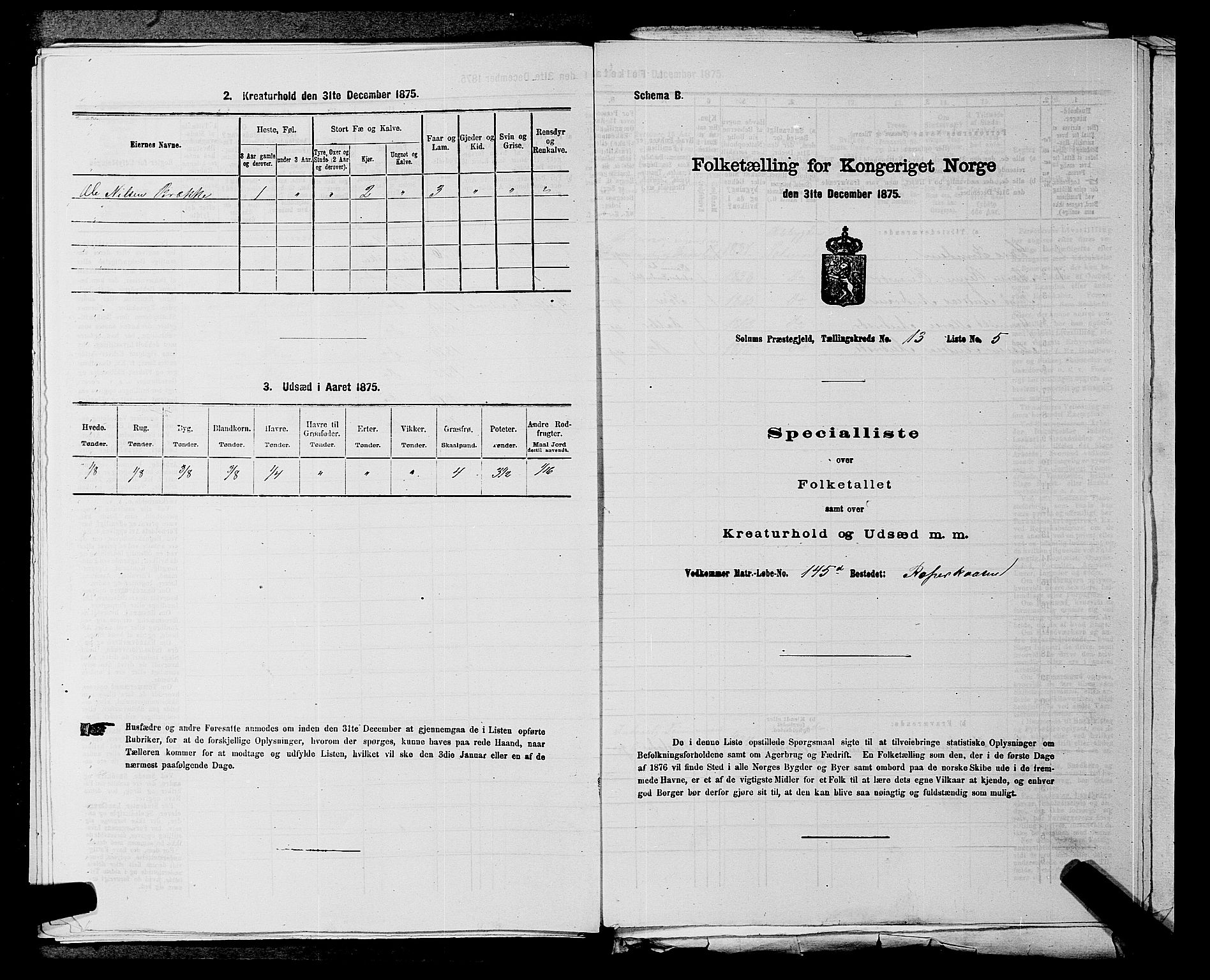 SAKO, 1875 census for 0818P Solum, 1875, p. 1953