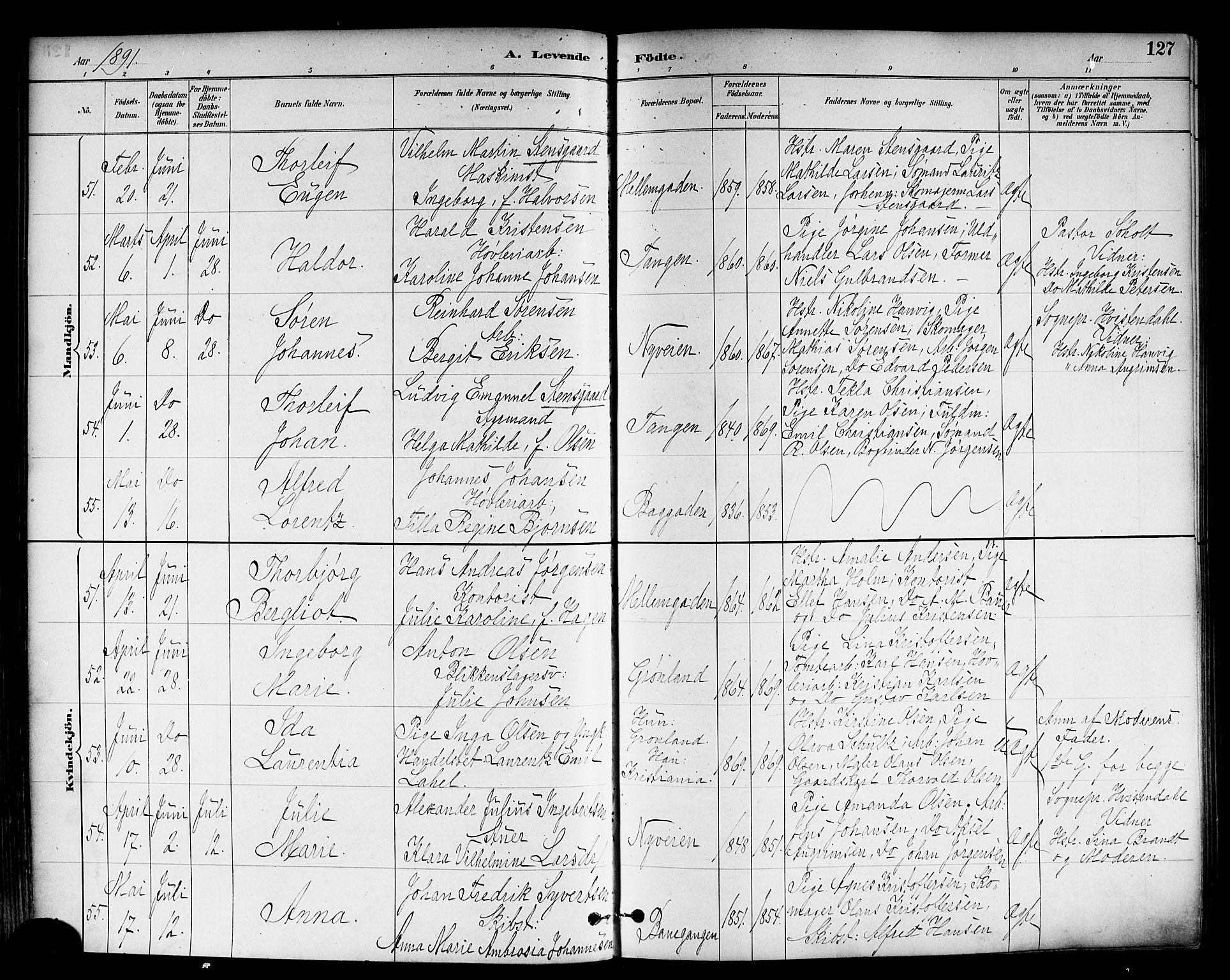 Strømsø kirkebøker, SAKO/A-246/F/Fa/L0023: Parish register (official) no. I 23, 1885-1894, p. 127