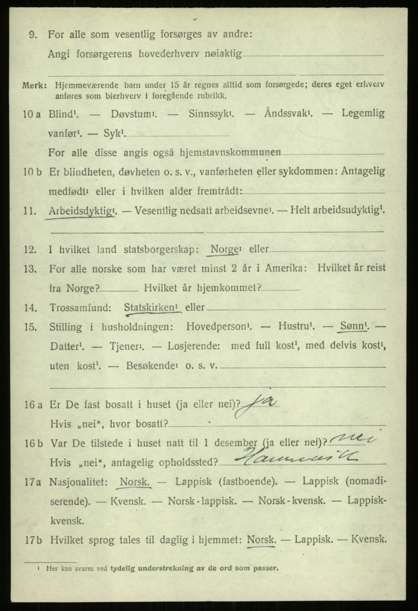 SATØ, 1920 census for Ibestad, 1920, p. 12131