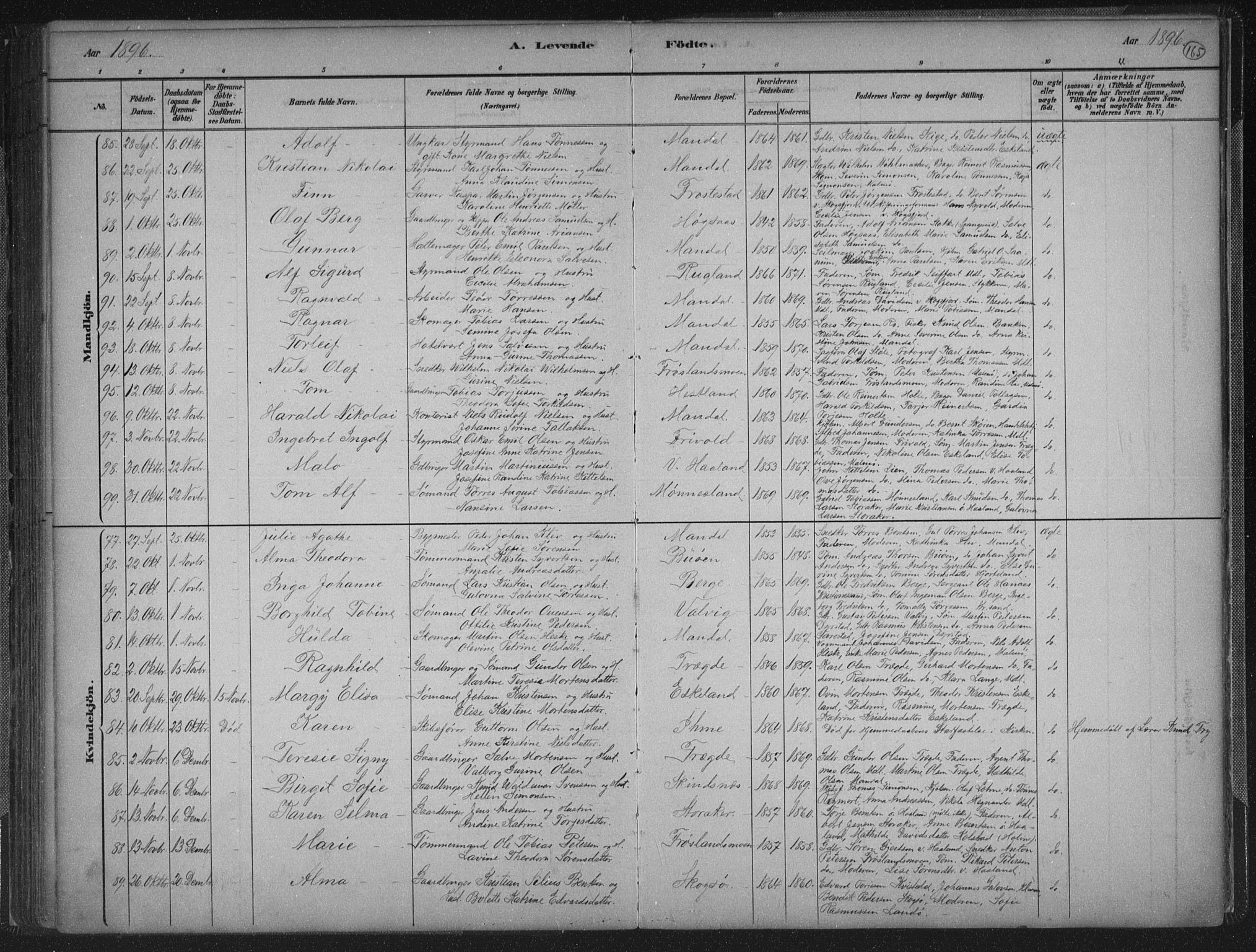 Mandal sokneprestkontor, AV/SAK-1111-0030/F/Fb/Fba/L0011: Parish register (copy) no. B 5, 1880-1898, p. 165