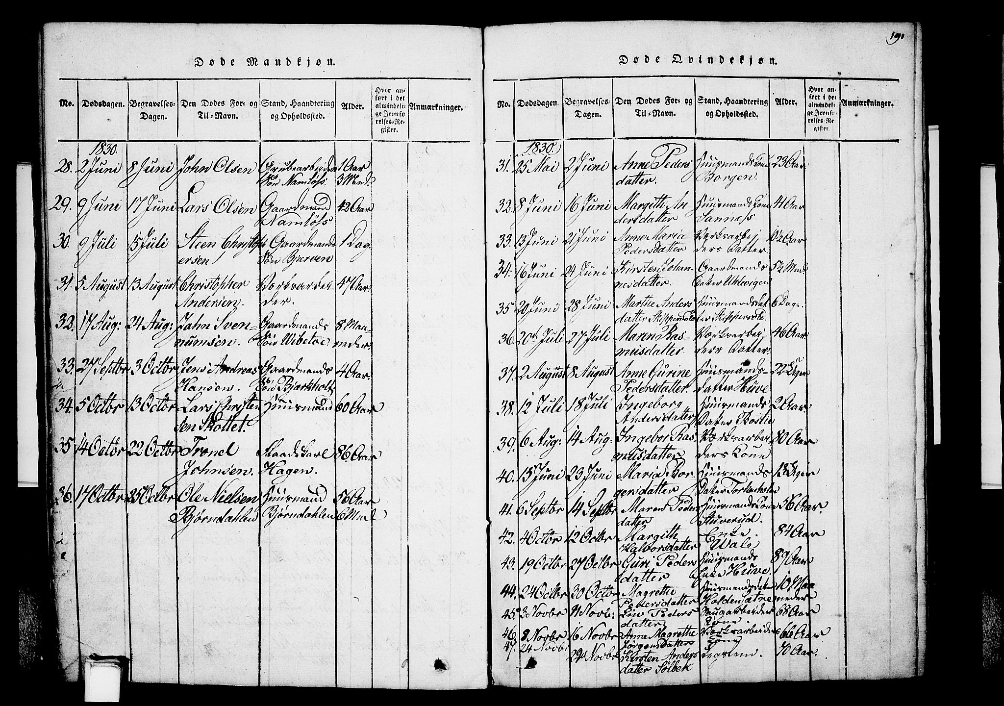 Holla kirkebøker, AV/SAKO-A-272/G/Ga/L0001: Parish register (copy) no. I 1, 1814-1830, p. 191