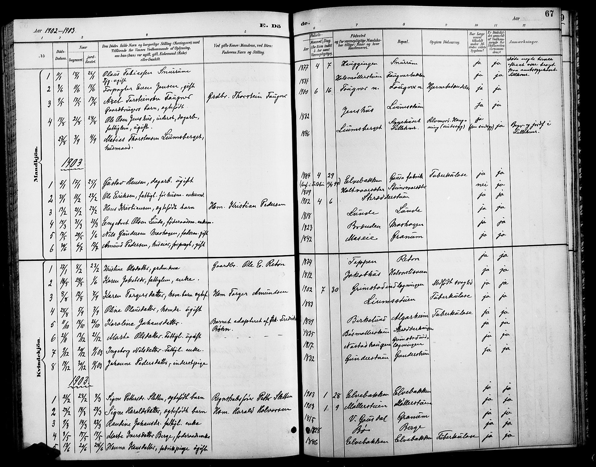 Østre Gausdal prestekontor, AV/SAH-PREST-092/H/Ha/Hab/L0003: Parish register (copy) no. 3, 1894-1915, p. 67