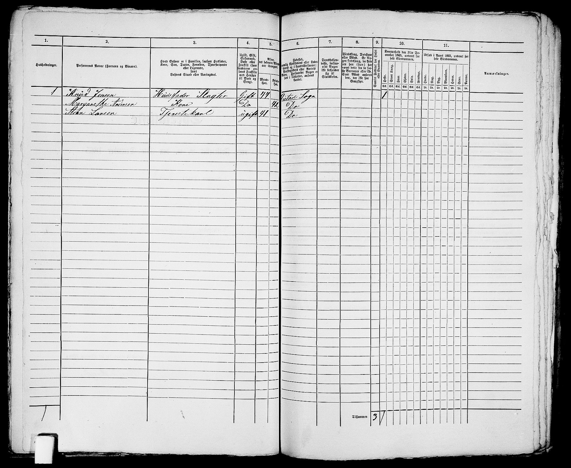 RA, 1865 census for Fjære/Grimstad, 1865, p. 55