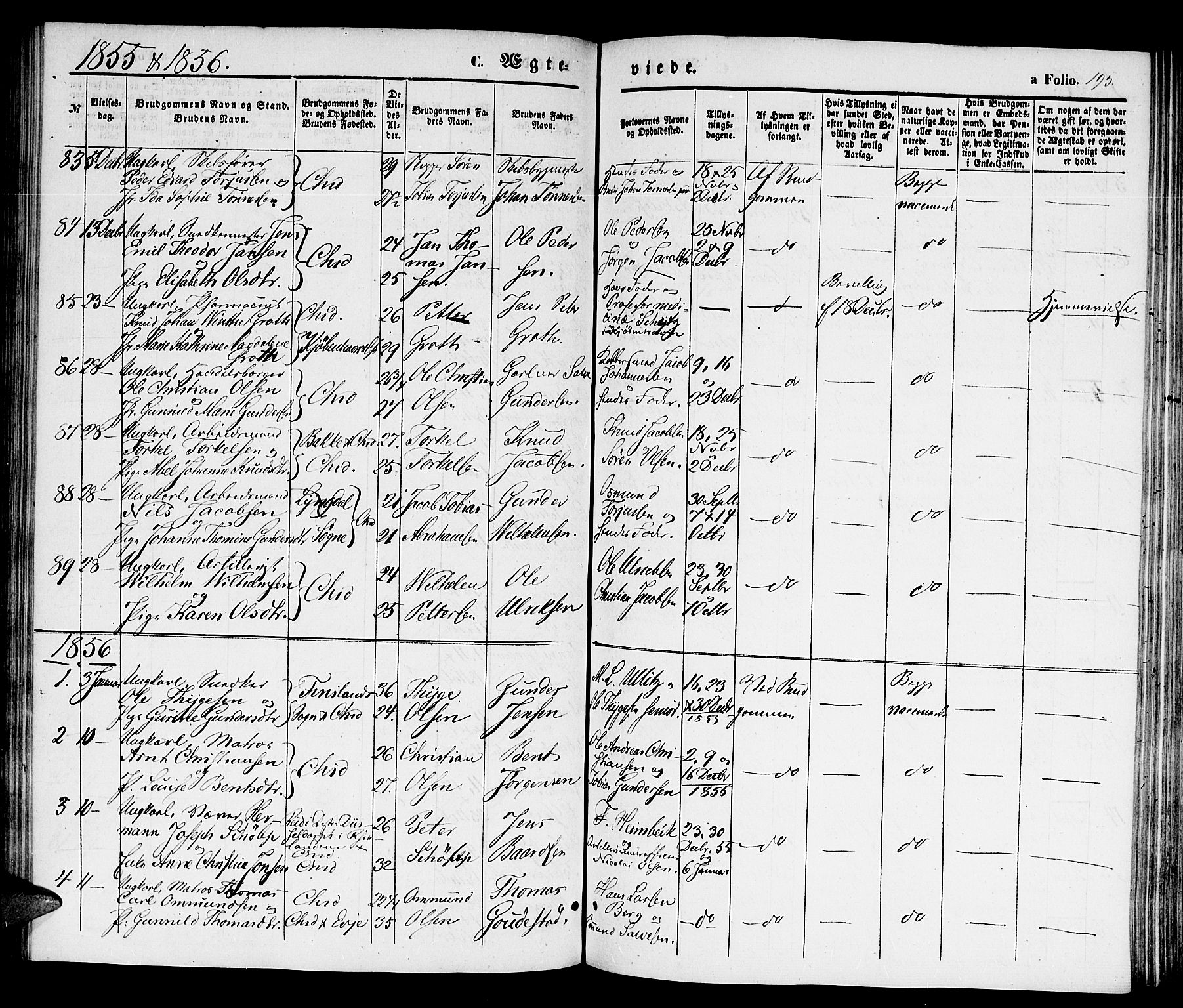 Kristiansand domprosti, SAK/1112-0006/F/Fb/L0011: Parish register (copy) no. B 11, 1851-1861, p. 195