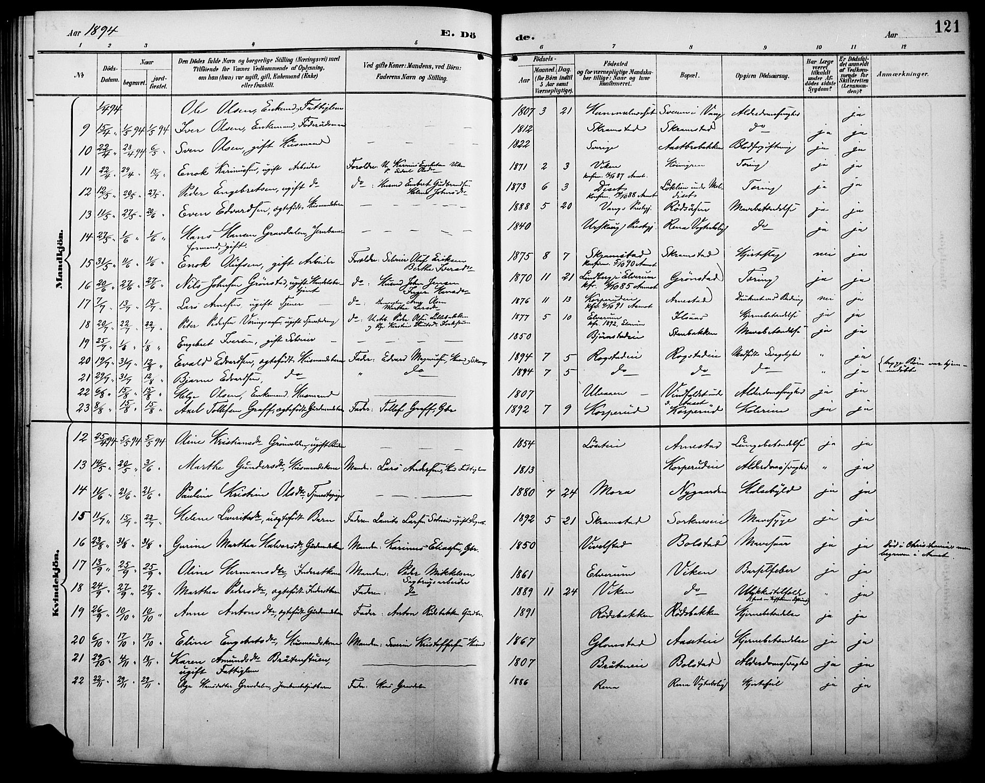 Åmot prestekontor, Hedmark, AV/SAH-PREST-056/H/Ha/Haa/L0011: Parish register (official) no. 11, 1890-1897, p. 121