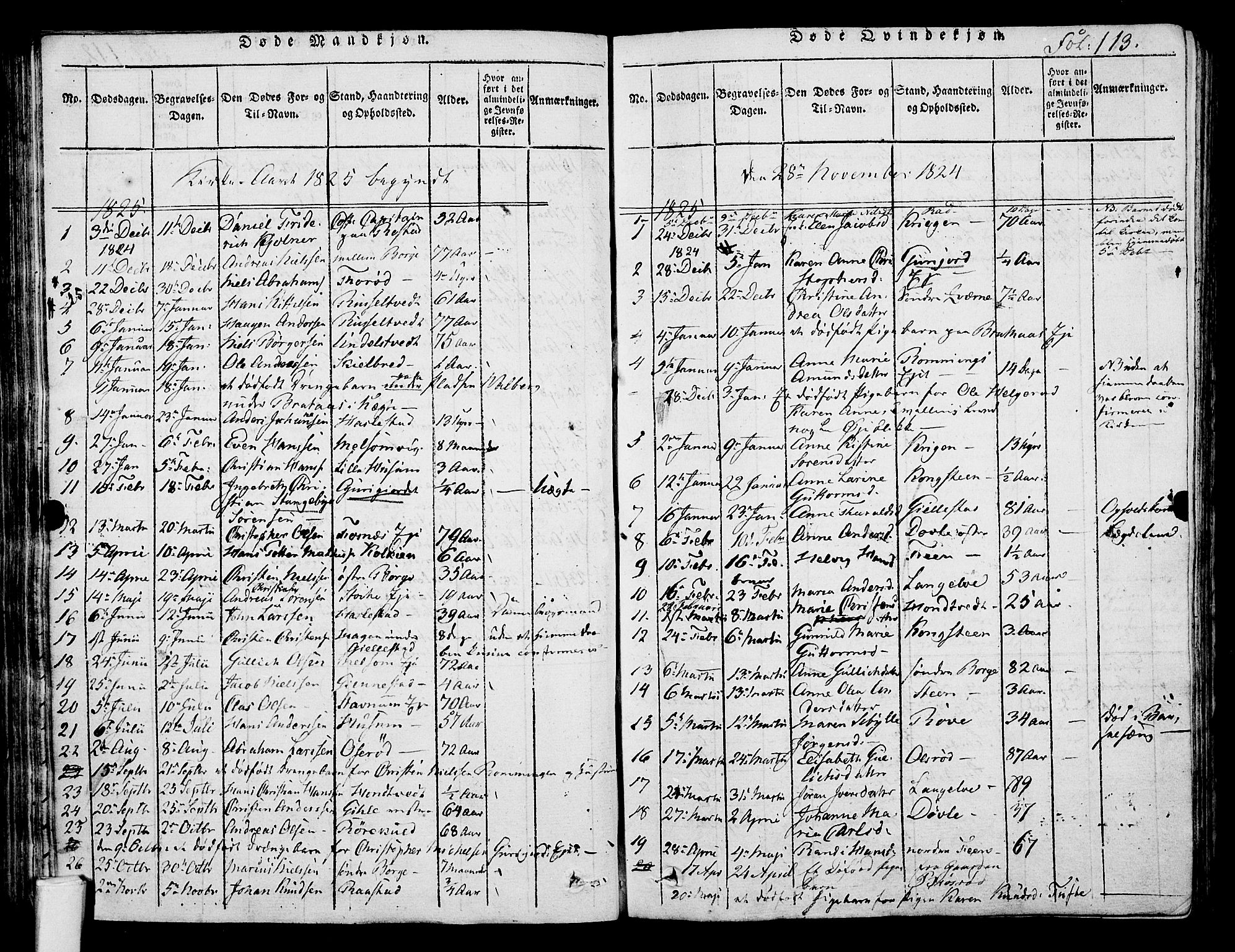 Stokke kirkebøker, SAKO/A-320/F/Fa/L0005: Parish register (official) no. I 5, 1815-1826, p. 113