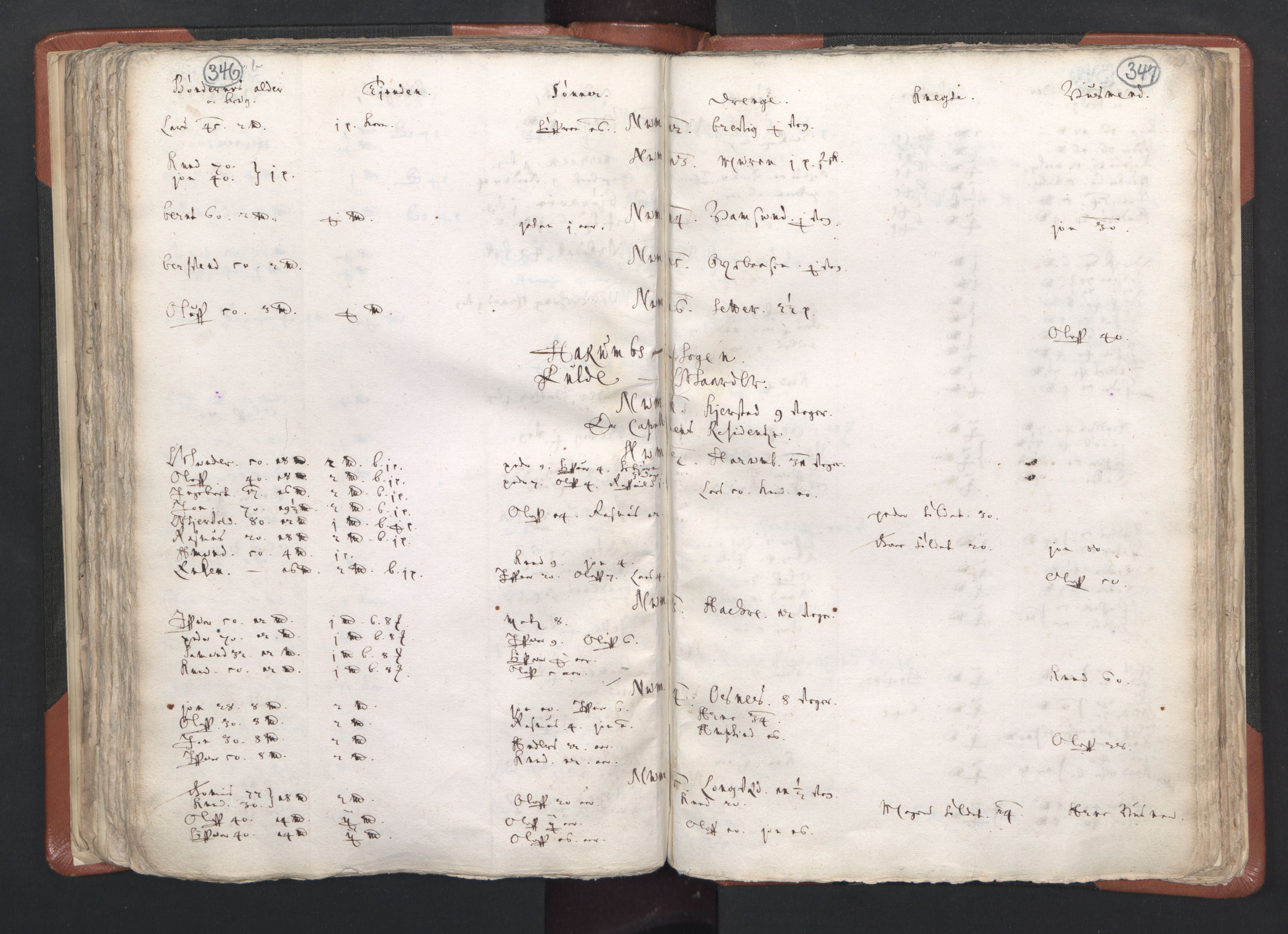 RA, Vicar's Census 1664-1666, no. 26: Sunnmøre deanery, 1664-1666, p. 346-347