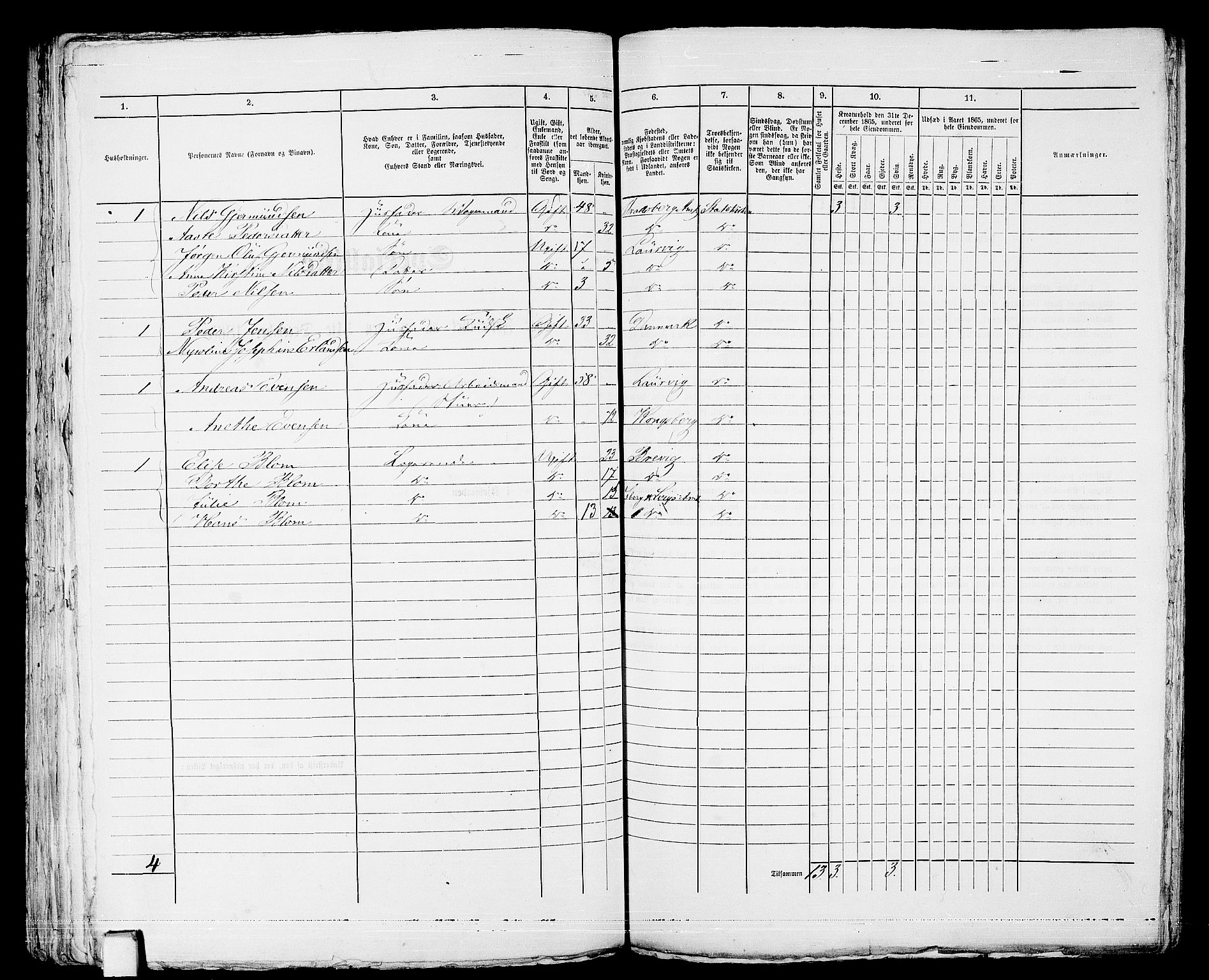 RA, 1865 census for Larvik, 1865, p. 206